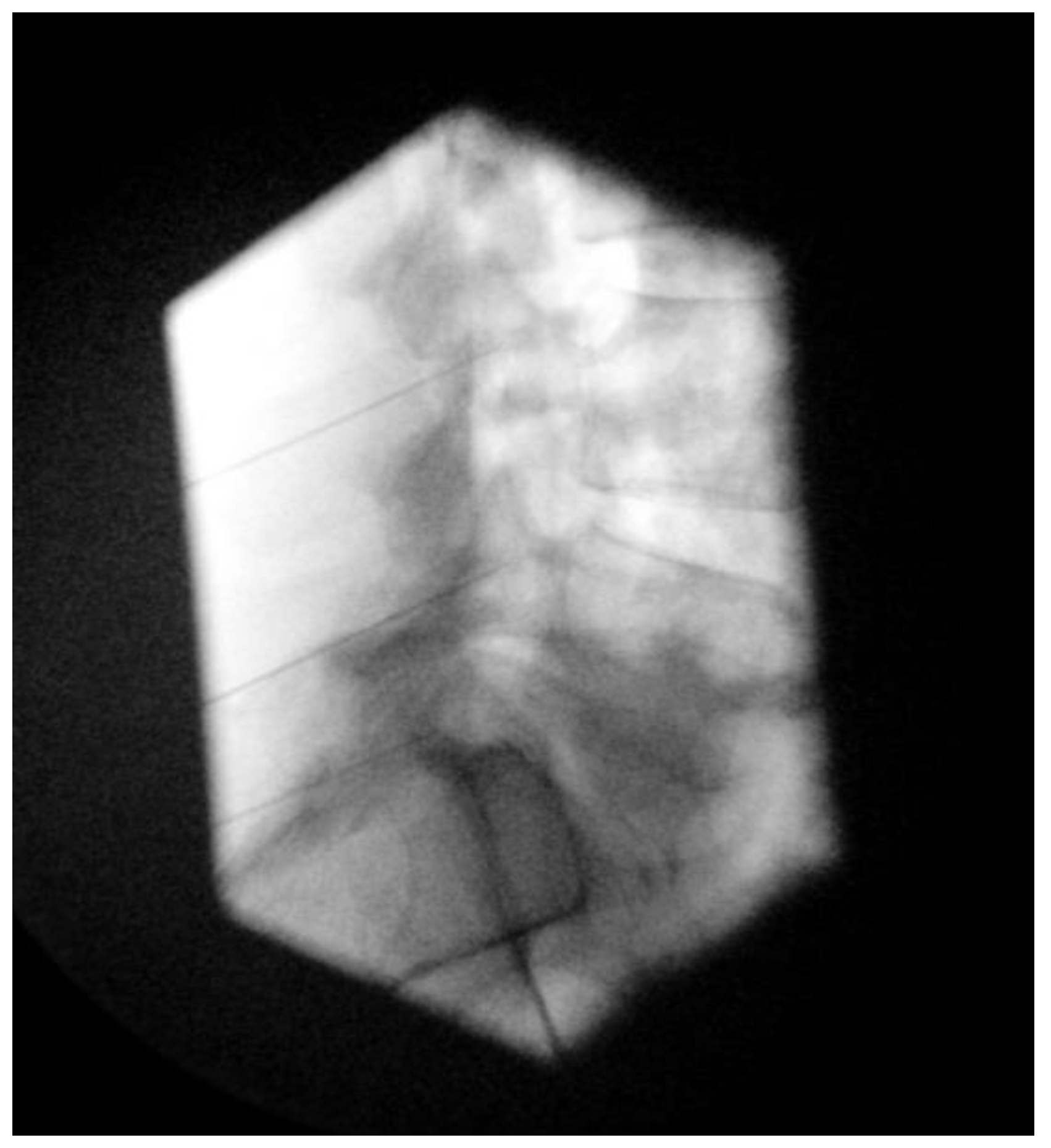 Life 14 01480 g004 Life 14 01480 g004