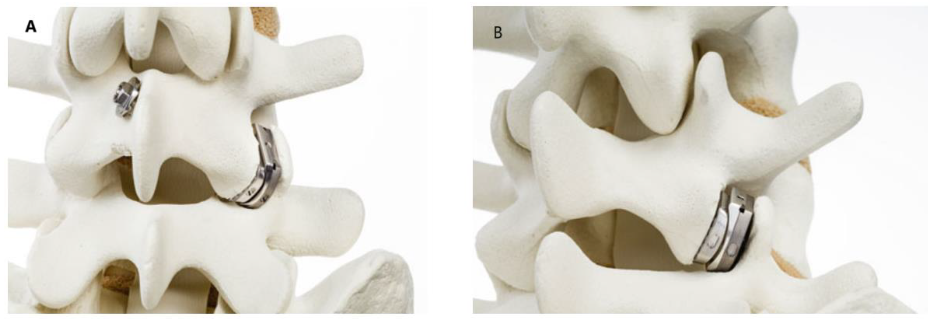 Life 14 01480 g006 Life 14 01480 g006