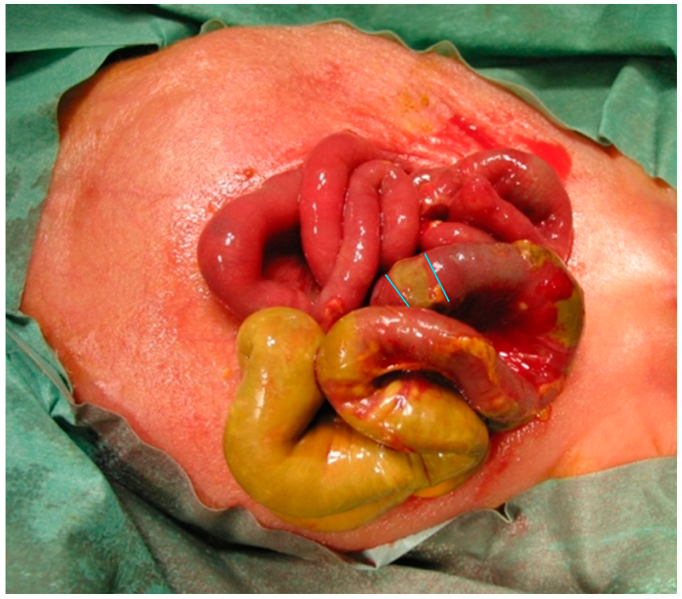 Life 14 01510 g001 Life 14 01510 g001