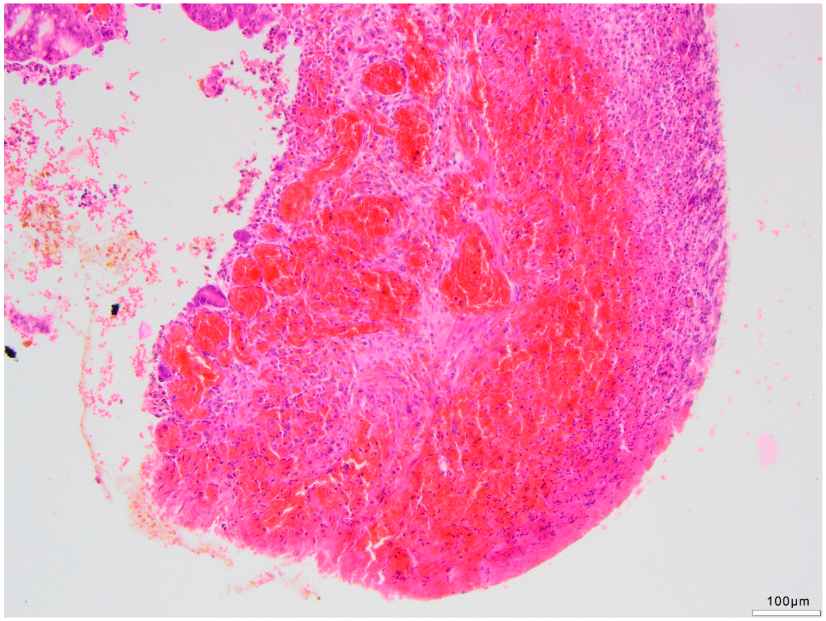 Life 14 01510 g005 Life 14 01510 g005