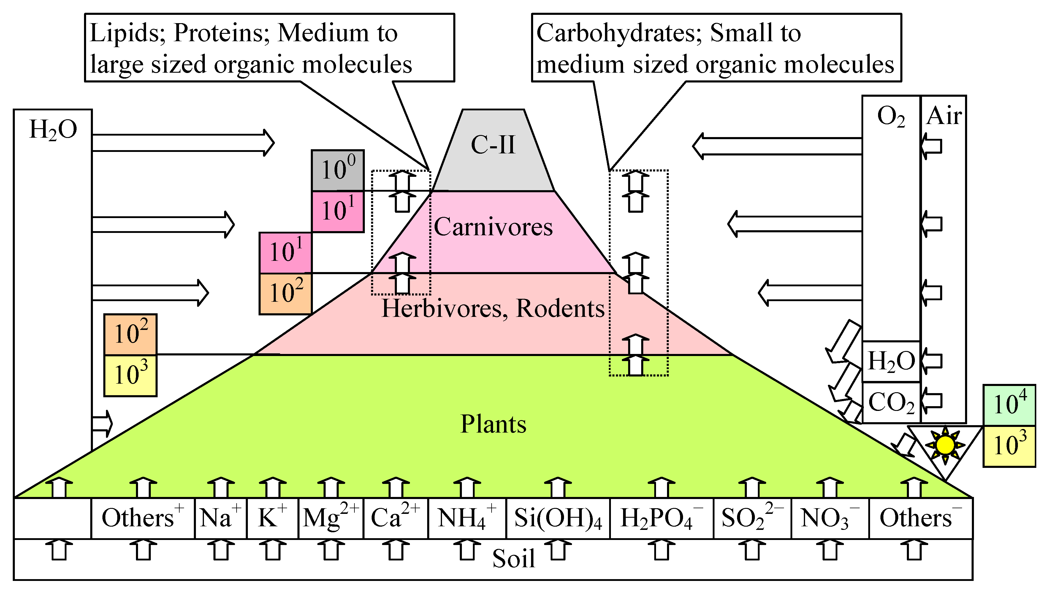 Life 14 01513 g009 Life 14 01513 g009