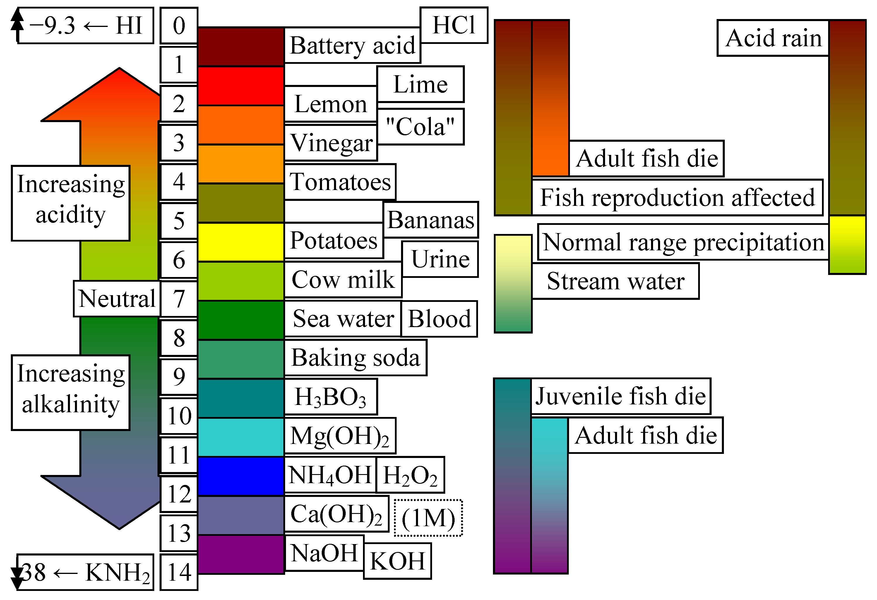 Life 14 01513 g010 Life 14 01513 g010