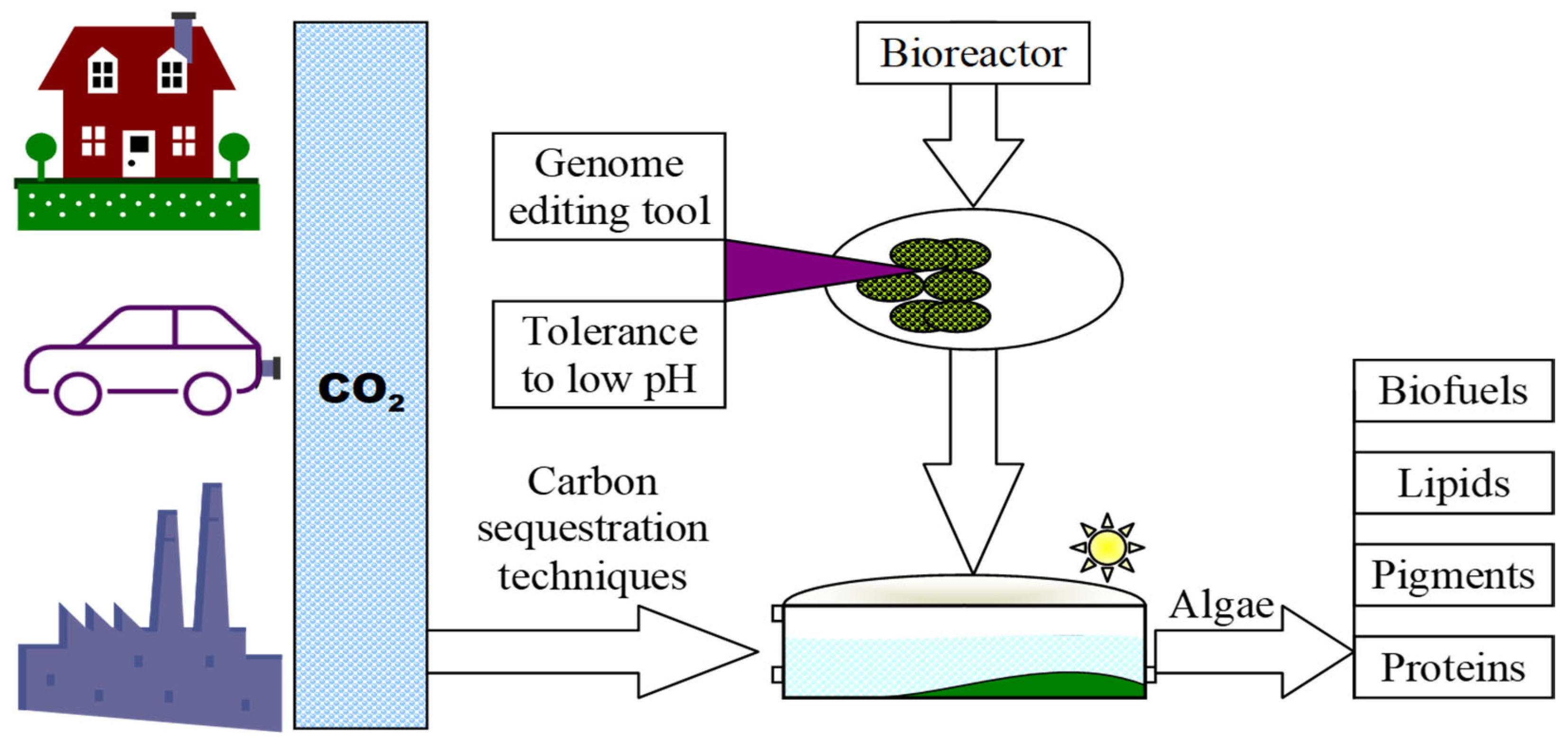Life 14 01513 g012 Life 14 01513 g012