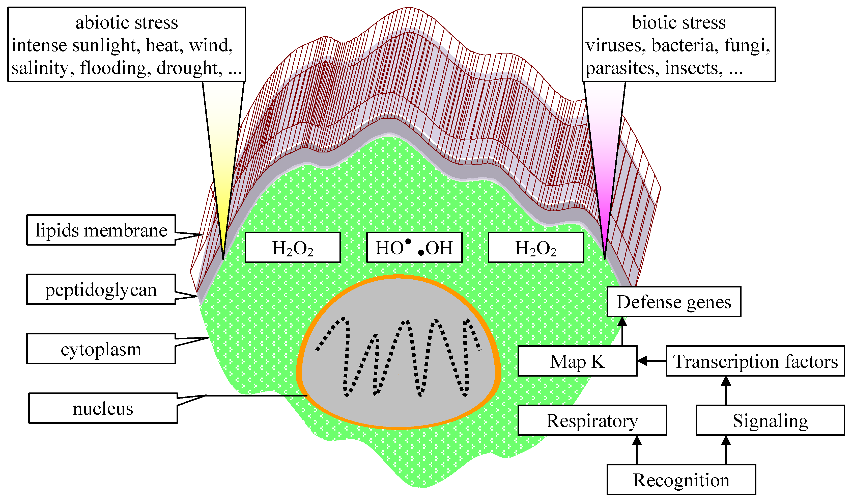 Life 14 01513 g013 Life 14 01513 g013