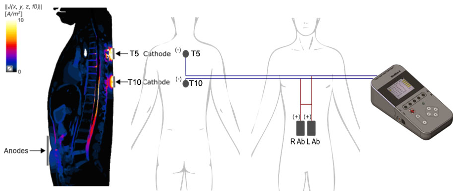 Life 14 01518 g001 Life 14 01518 g001
