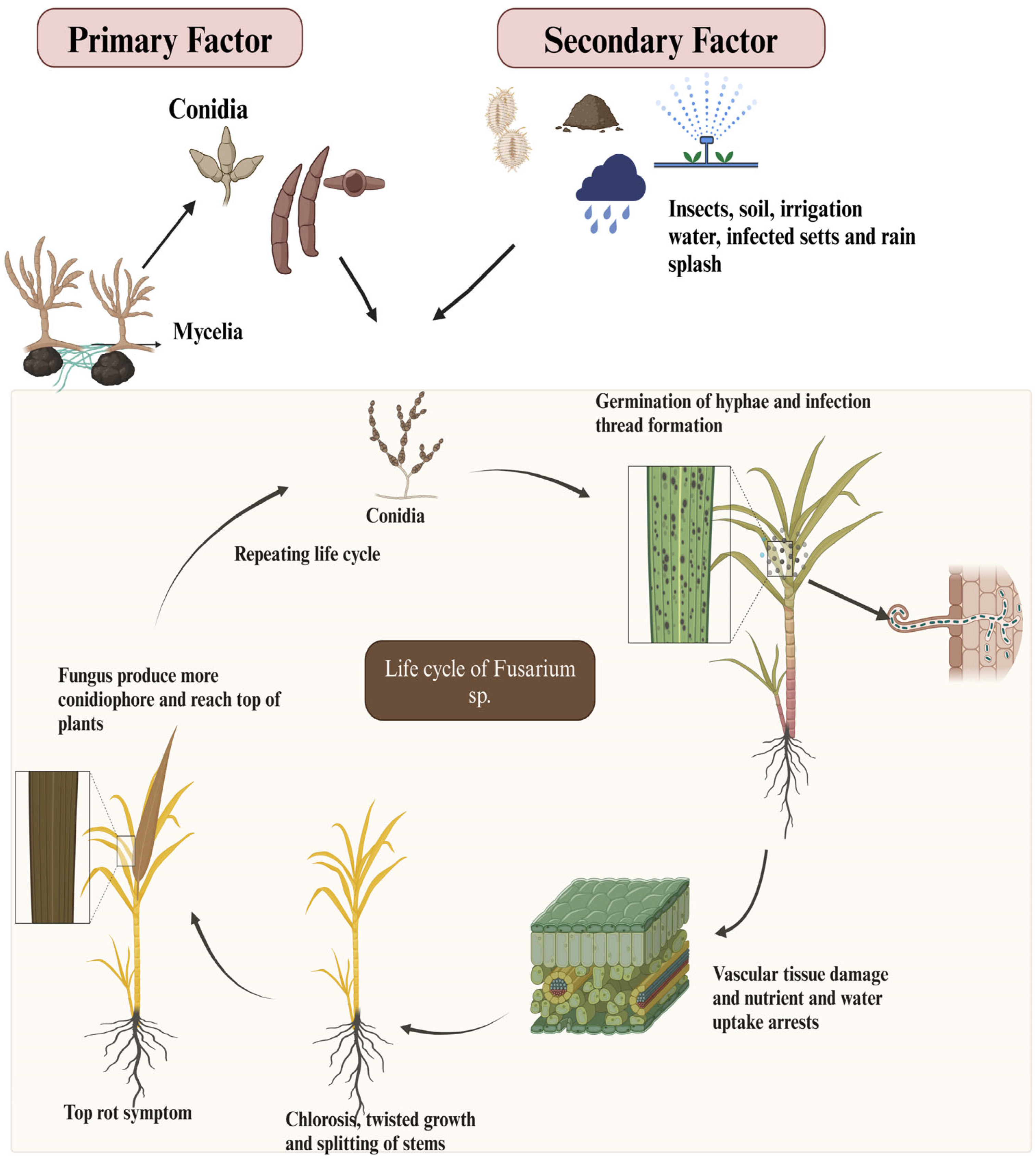 Life 14 01533 g004 Life 14 01533 g004