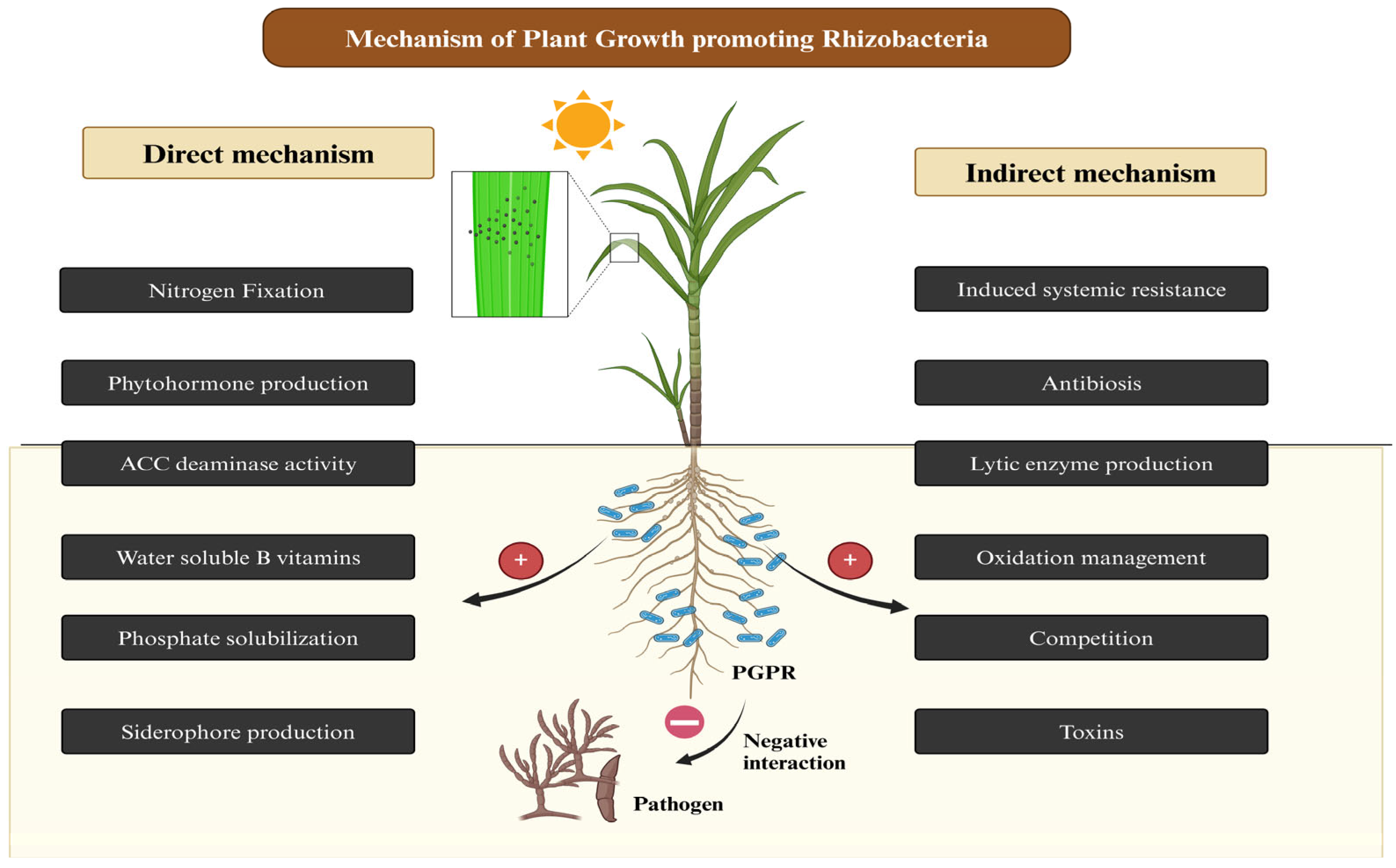 Life 14 01533 g006 Life 14 01533 g006