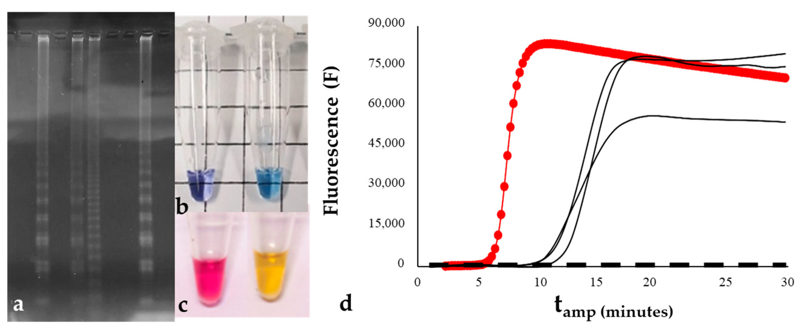 Life 14 01549 g001 Life 14 01549 g001