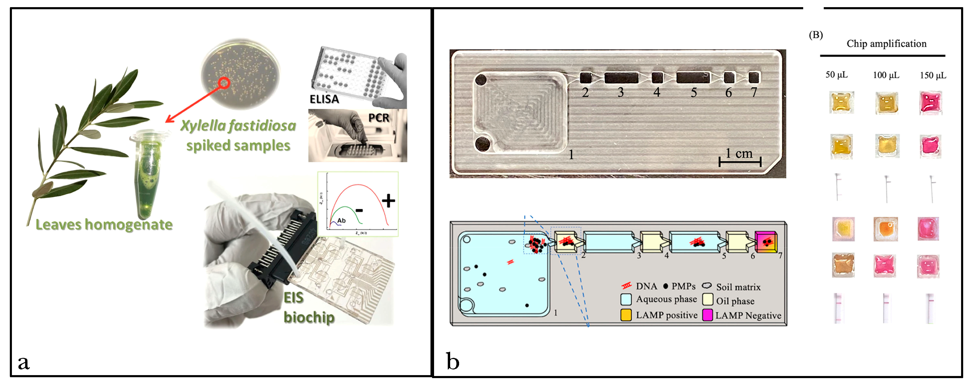 Life 14 01549 g002 Life 14 01549 g002