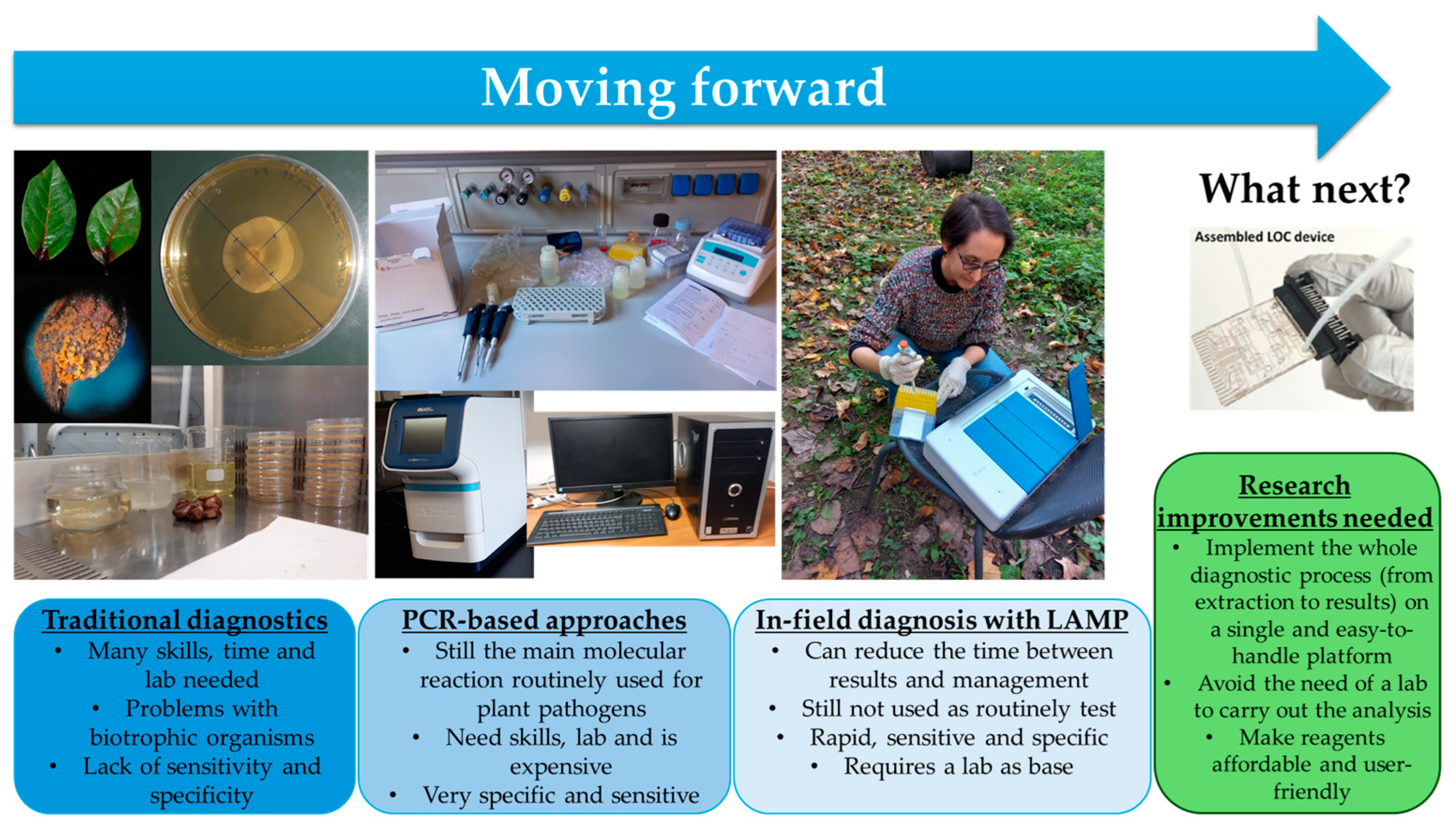 Life 14 01549 g003 Life 14 01549 g003