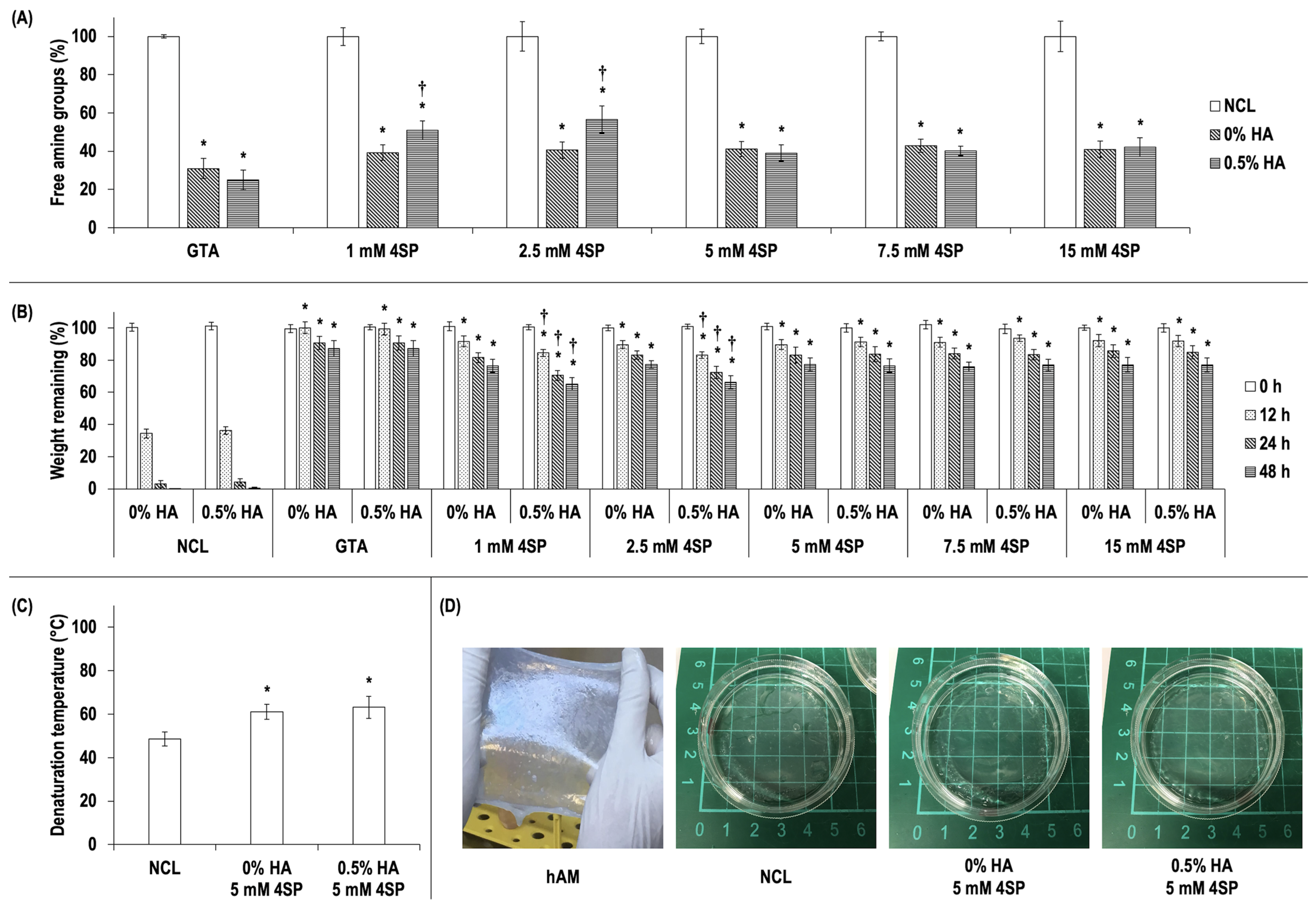 Life 14 01552 g001 Life 14 01552 g001