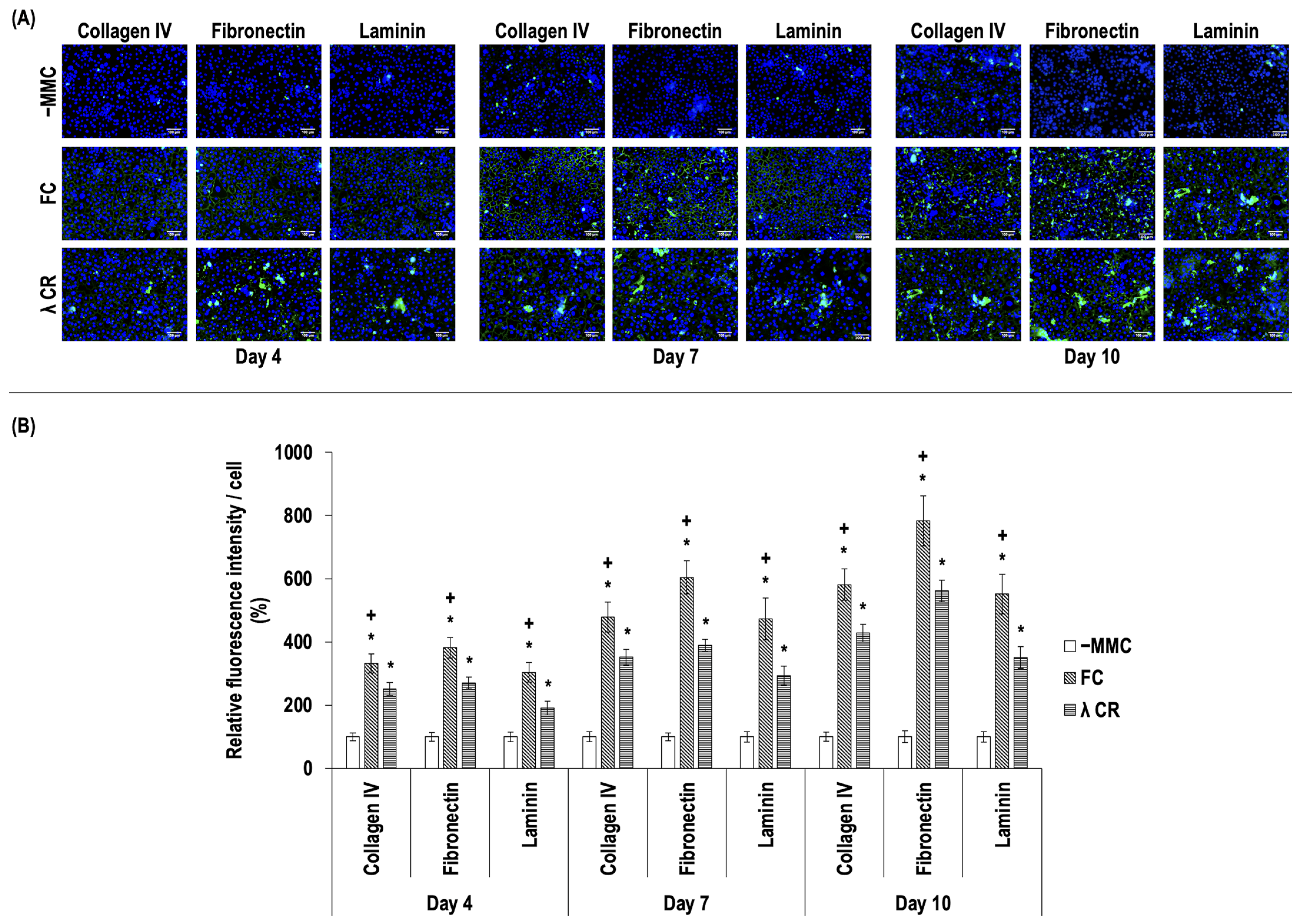 Life 14 01552 g002 Life 14 01552 g002