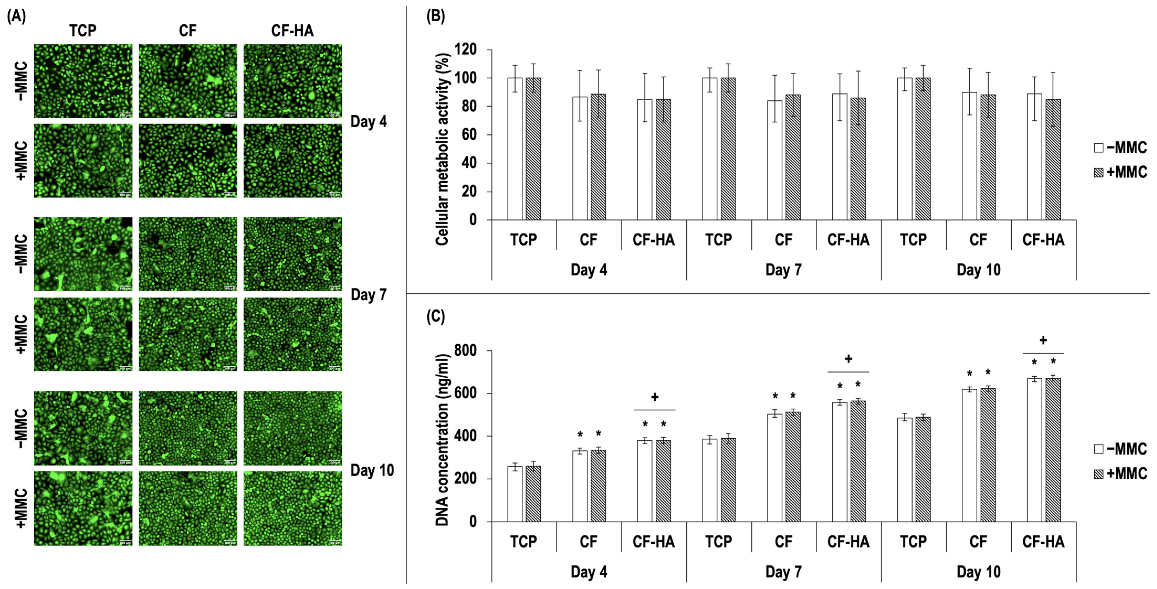 Life 14 01552 g003 Life 14 01552 g003