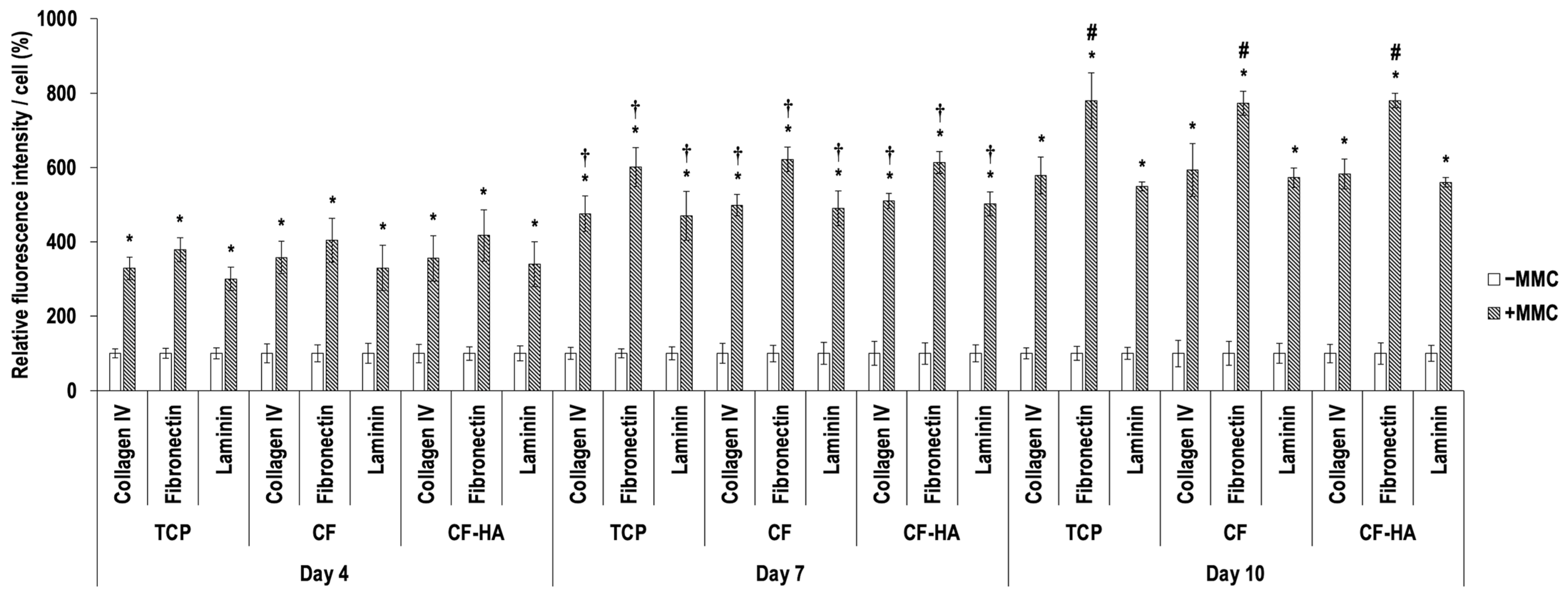 Life 14 01552 g005 Life 14 01552 g005