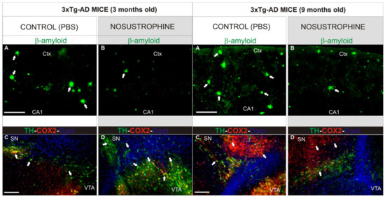 CLASS:y サイン An efficient video slice encryption scheme and its