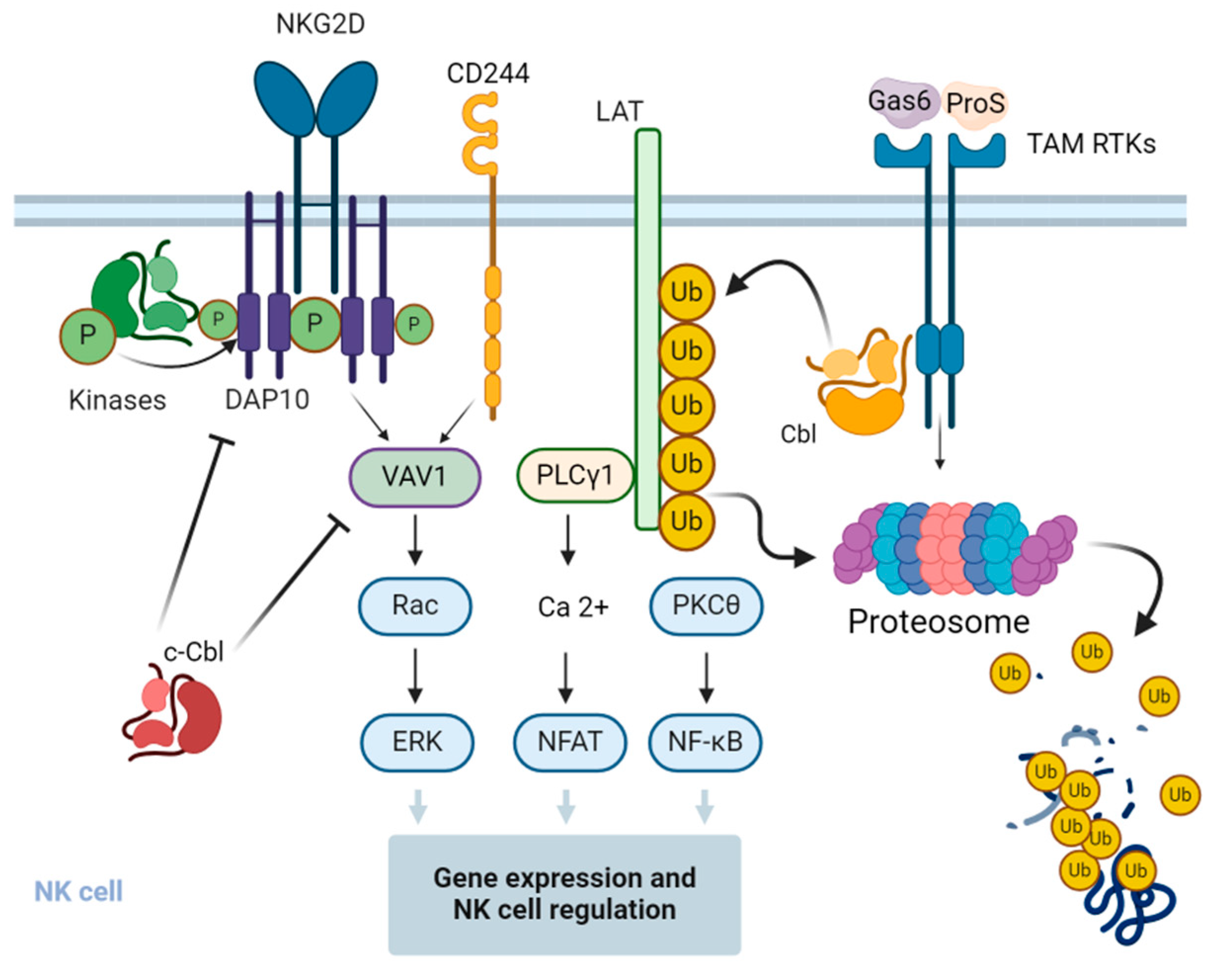 Life 14 01592 g003 Life 14 01592 g003