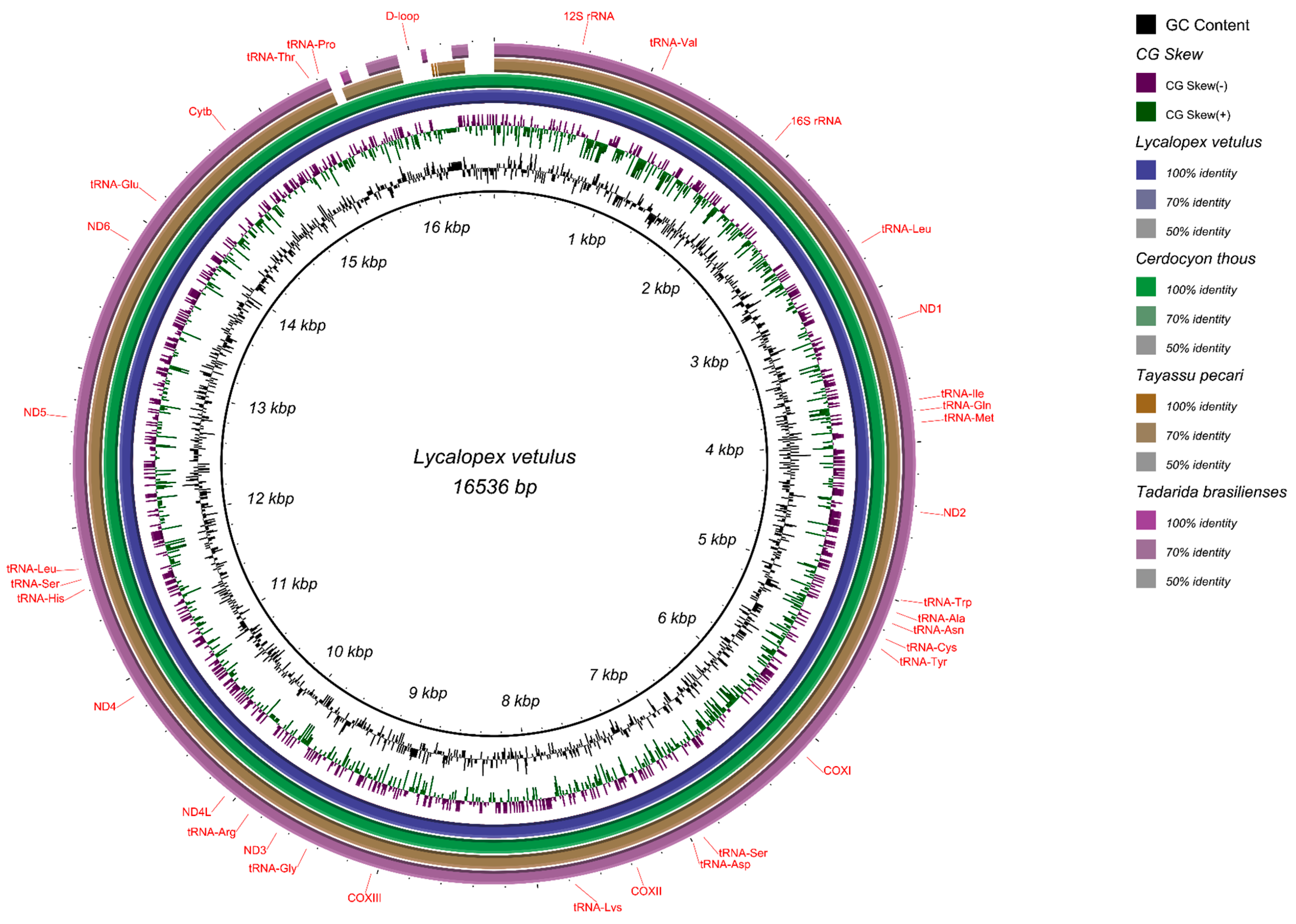 Life 14 01597 g002 Life 14 01597 g002