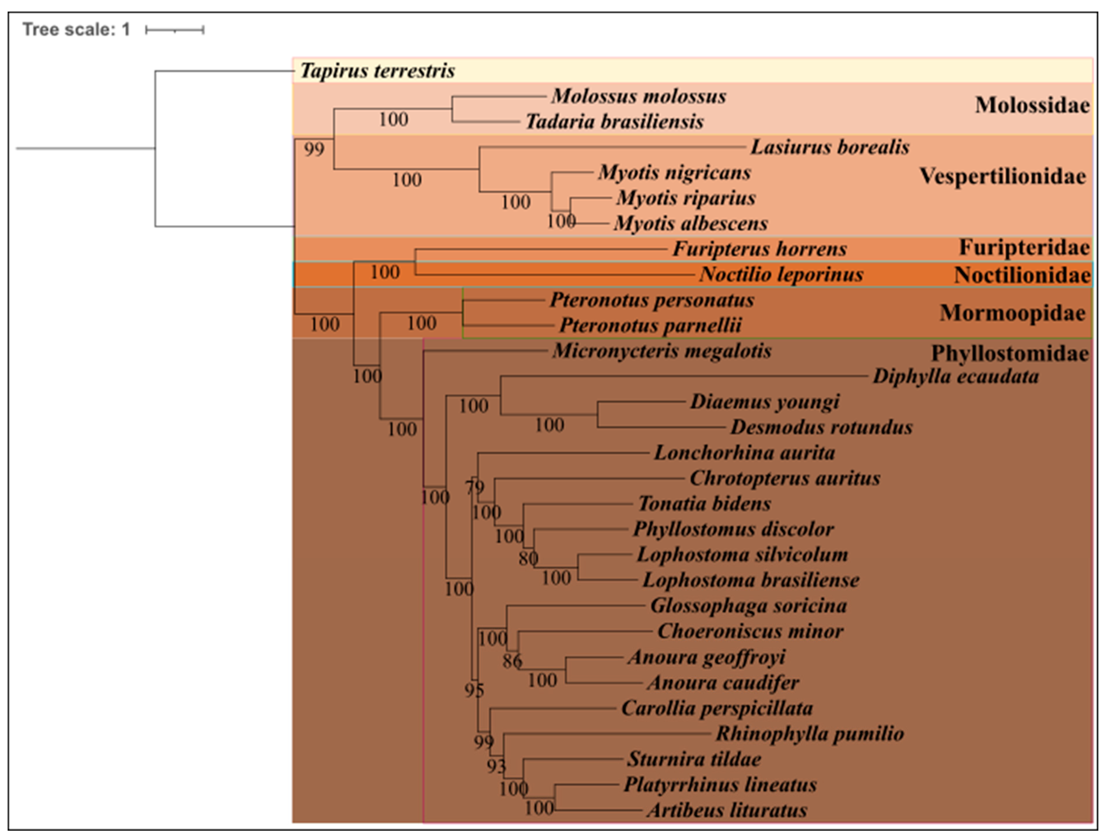 Life 14 01597 g005 Life 14 01597 g005