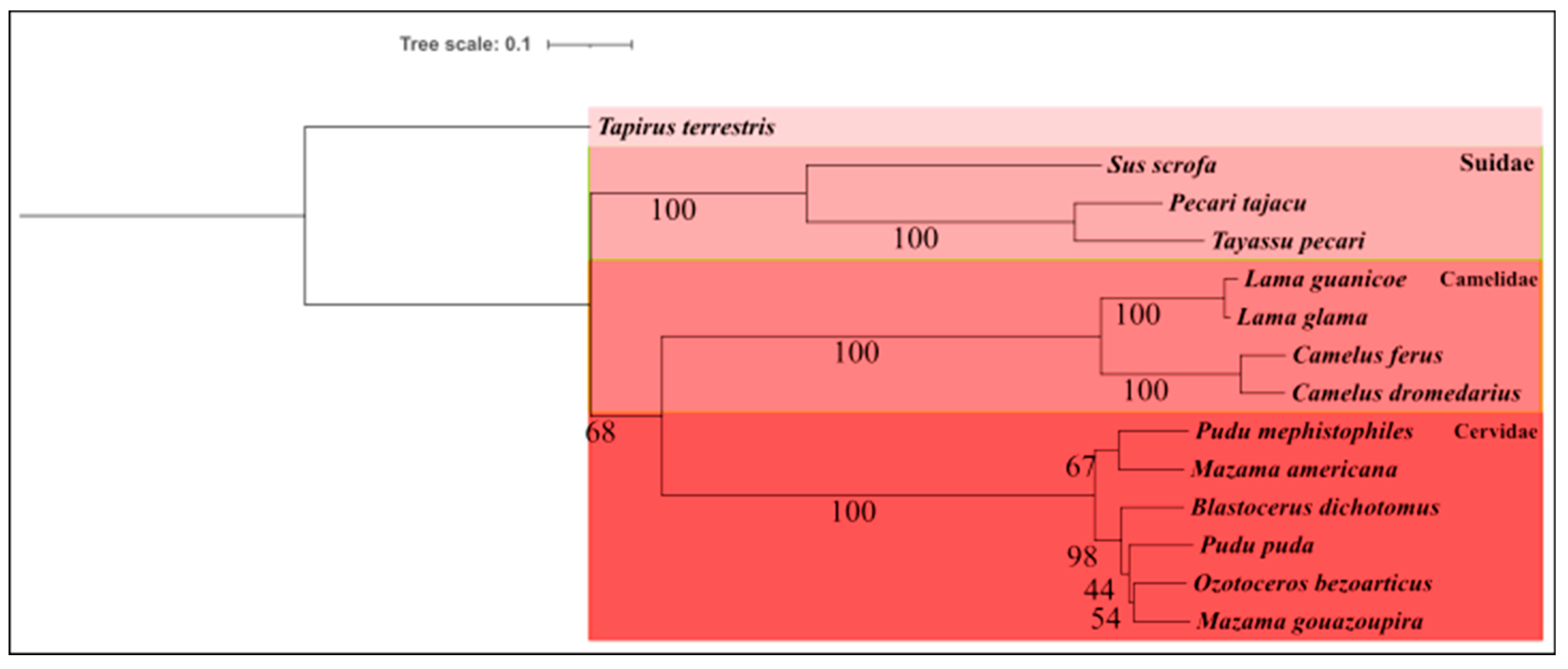 Life 14 01597 g006 Life 14 01597 g006