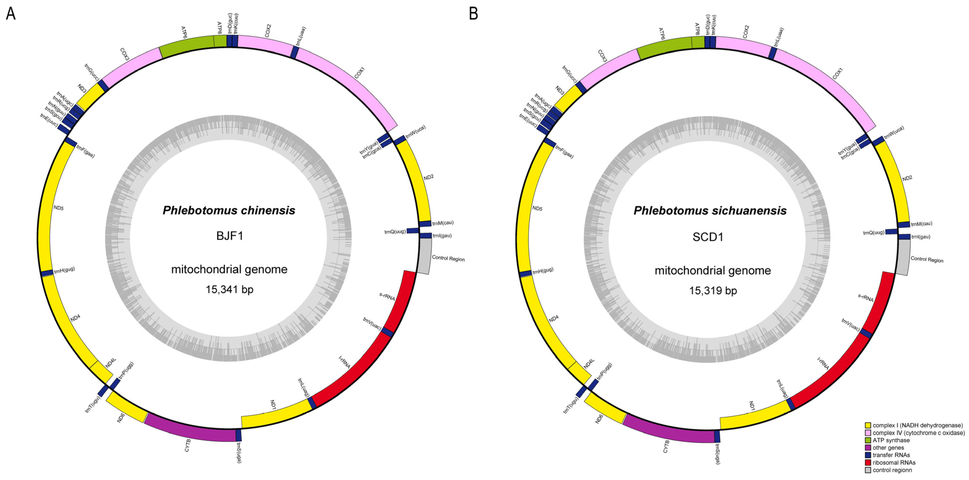 Life 14 01610 g002 Life 14 01610 g002