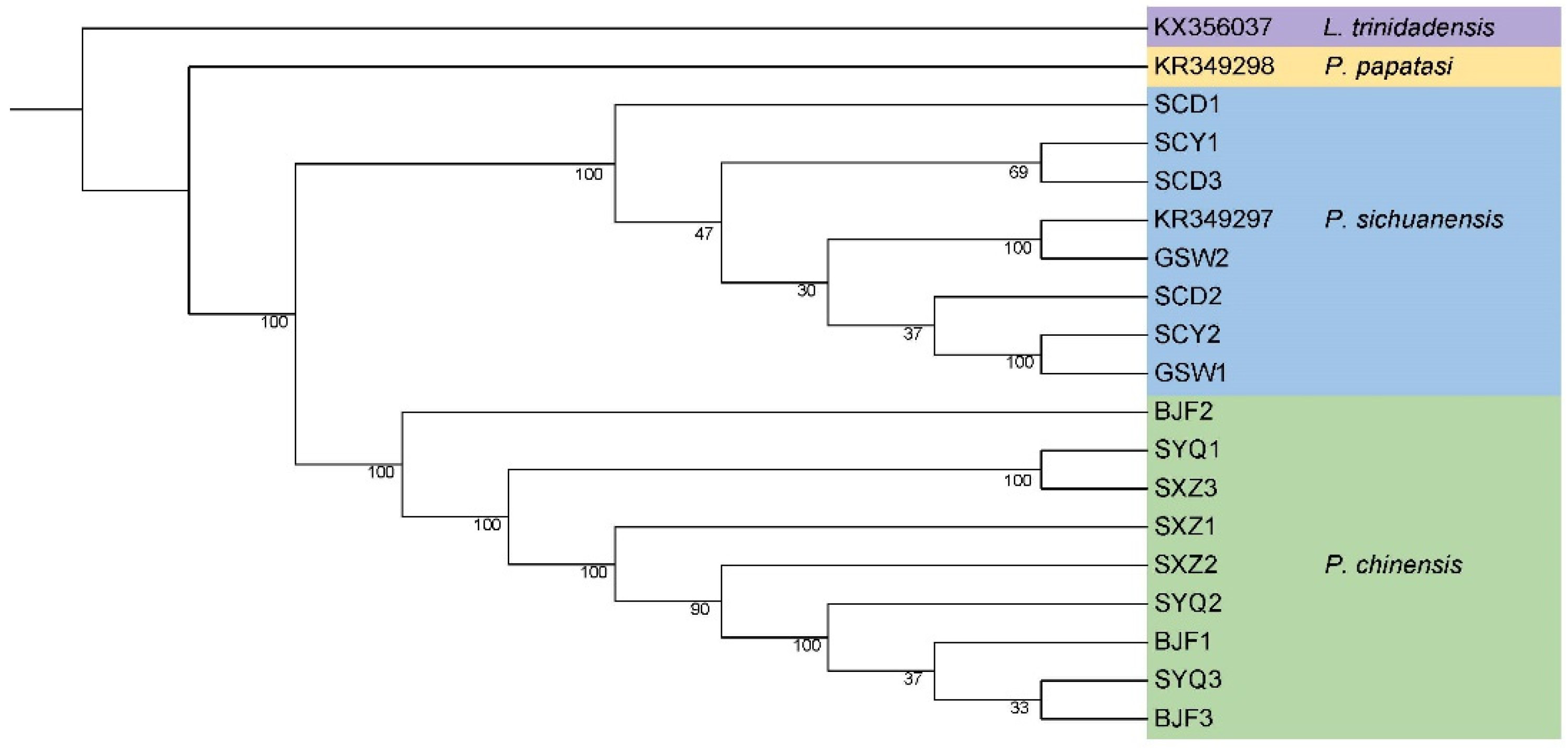 Life 14 01610 g003 Life 14 01610 g003