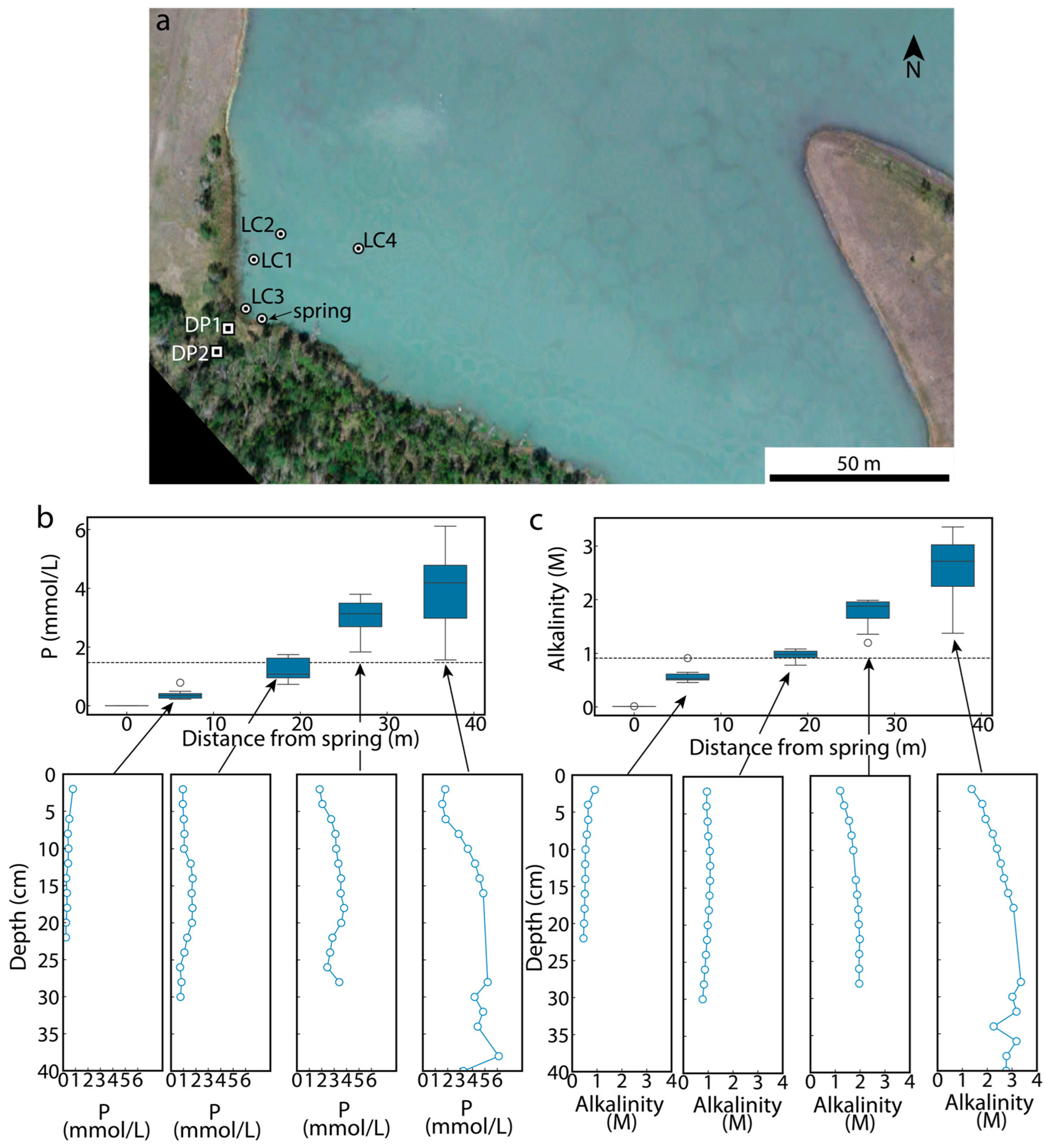 Life 14 01624 g003 Life 14 01624 g003