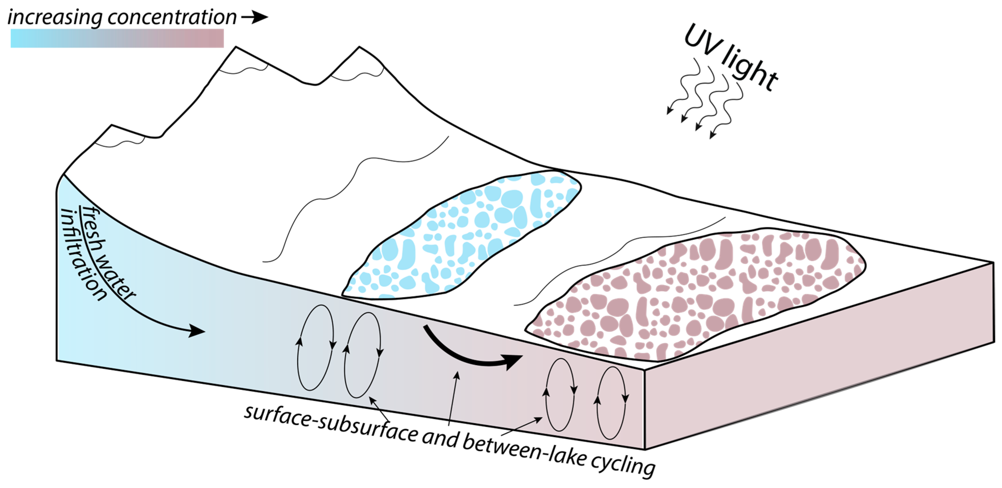 Life 14 01624 g008 Life 14 01624 g008