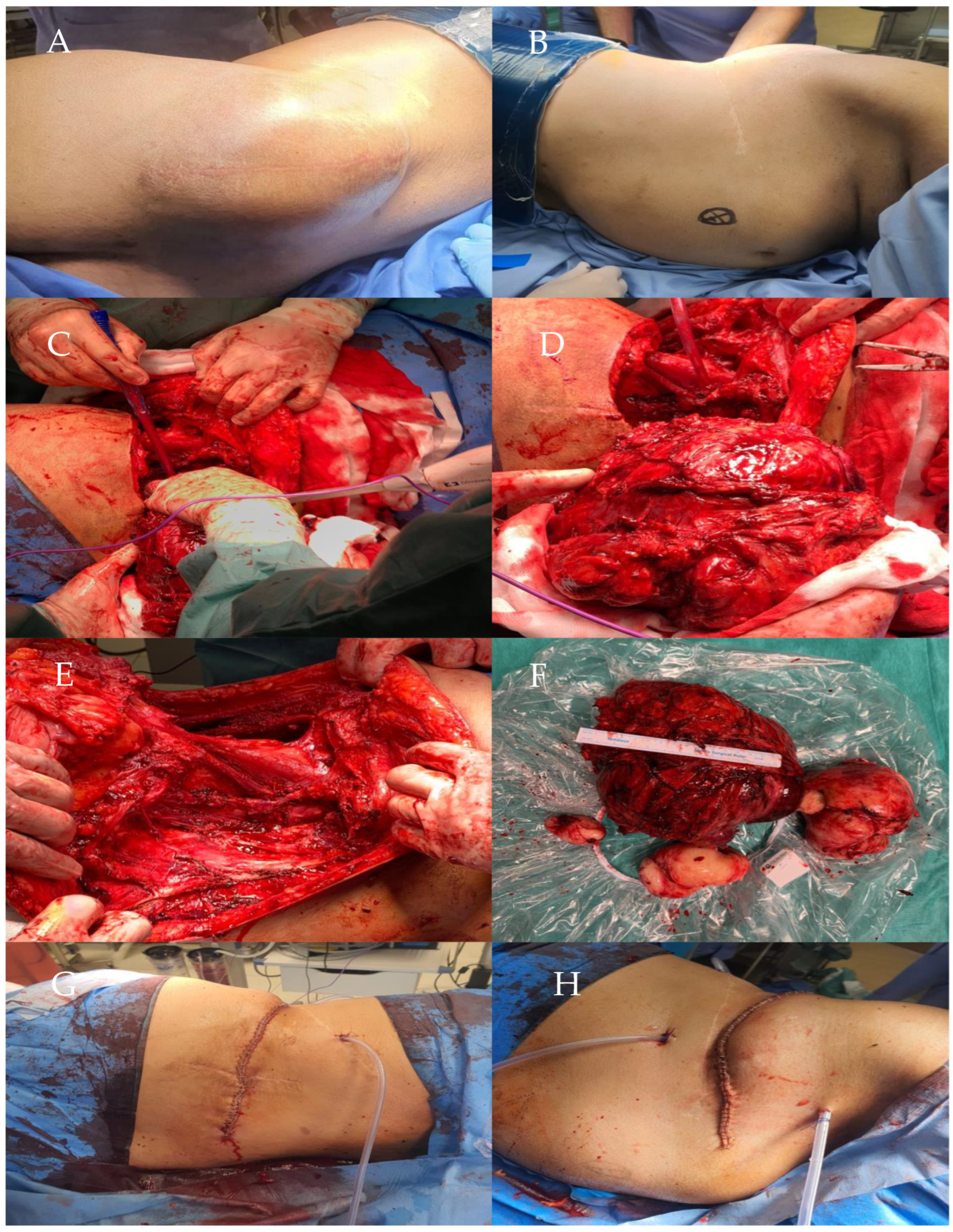 Life 14 01648 g002 Life 14 01648 g002