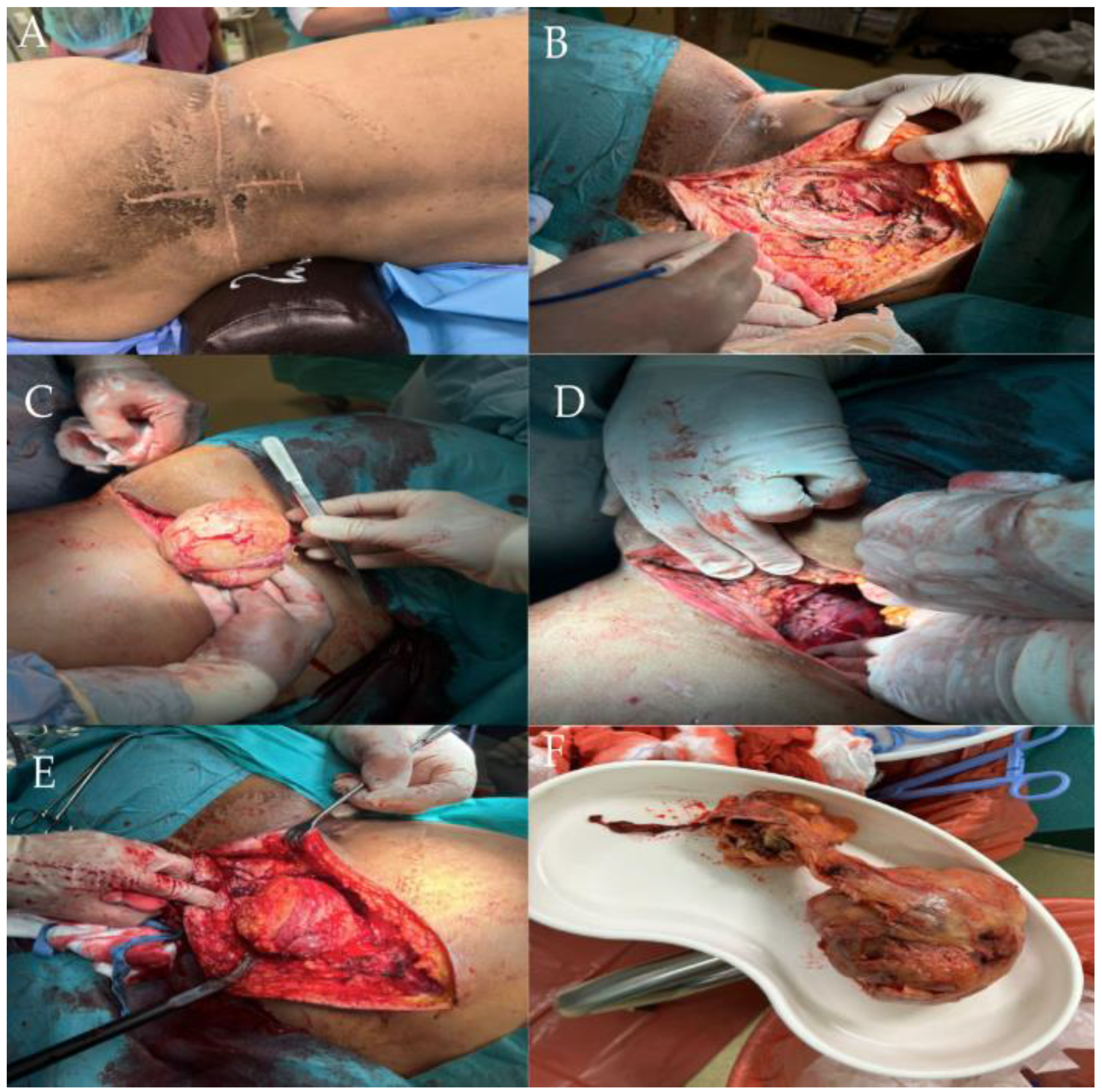 Life 14 01648 g004 Life 14 01648 g004