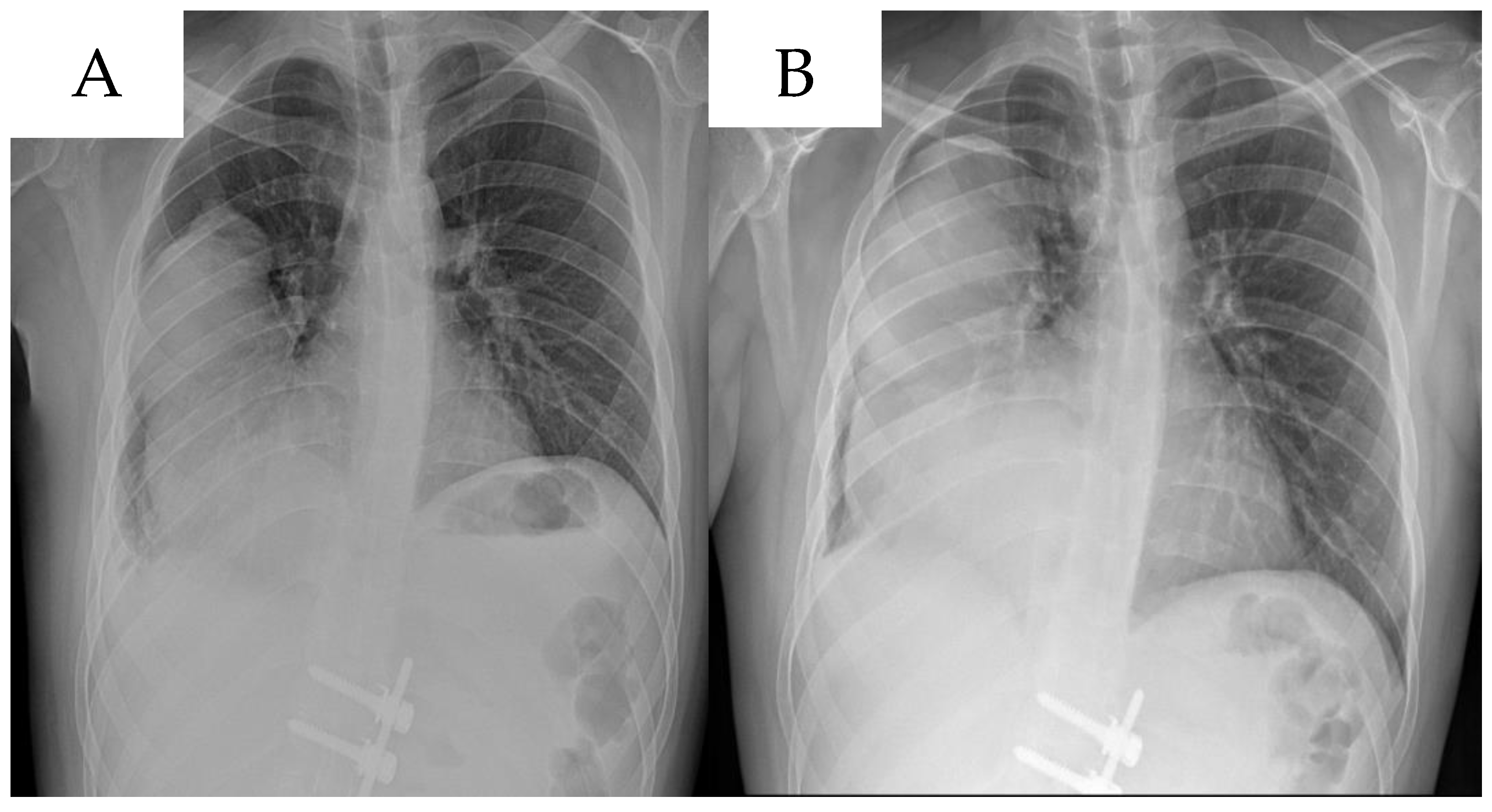 Life 14 01648 g005 Life 14 01648 g005