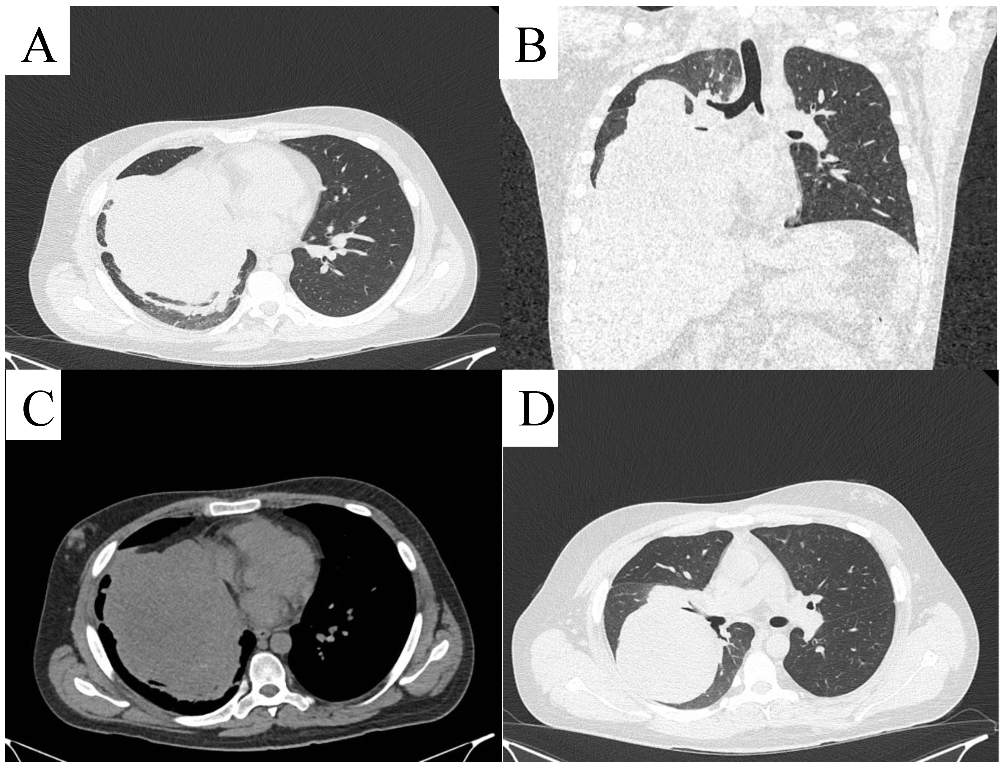 Life 14 01648 g006 Life 14 01648 g006