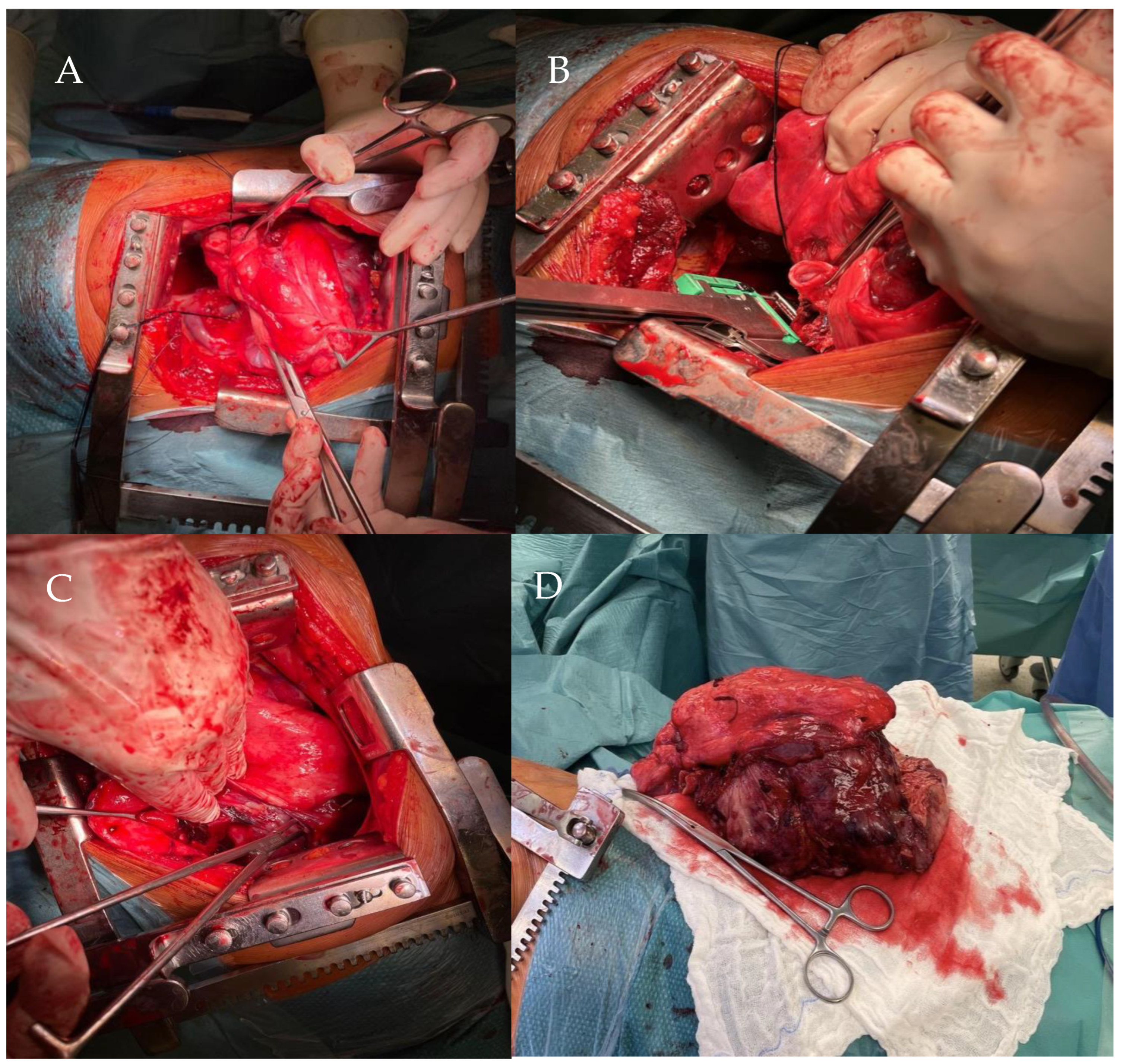 Life 14 01648 g007 Life 14 01648 g007