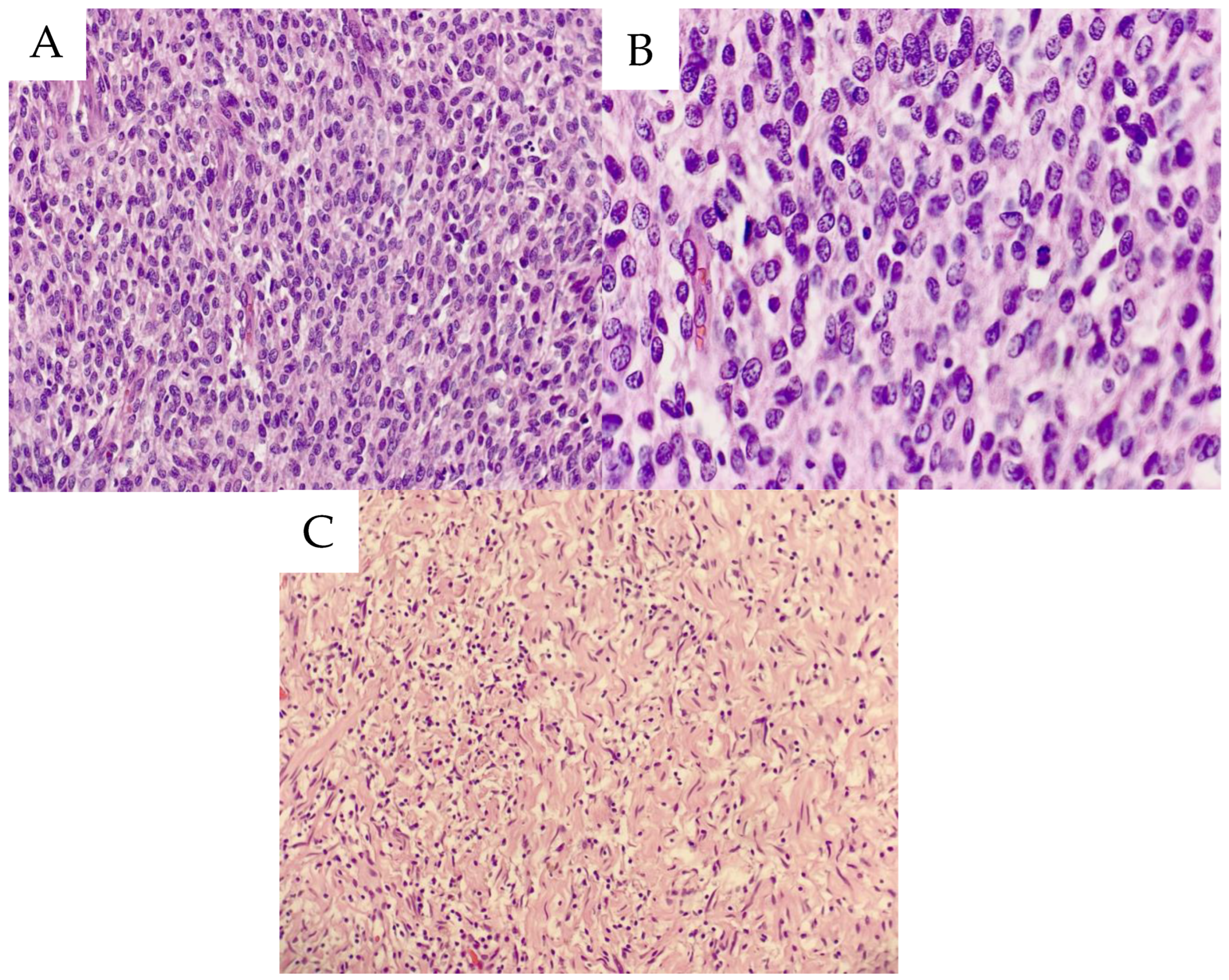 Life 14 01648 g008 Life 14 01648 g008