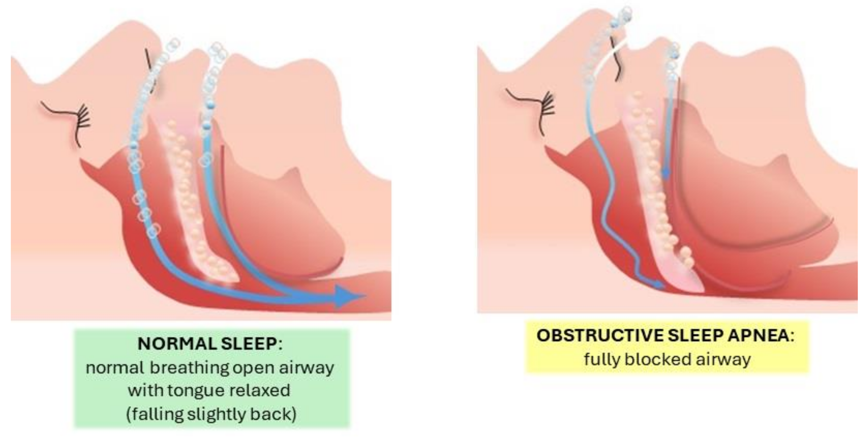 Life 14 01652 g001 Life 14 01652 g001