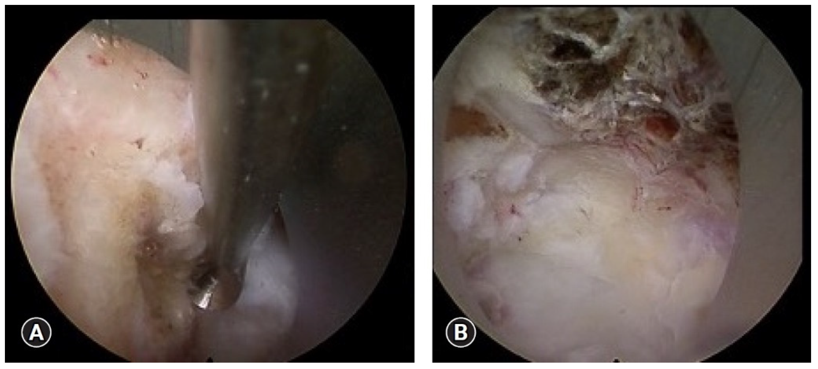 Life 15 00008 g002 Life 15 00008 g002