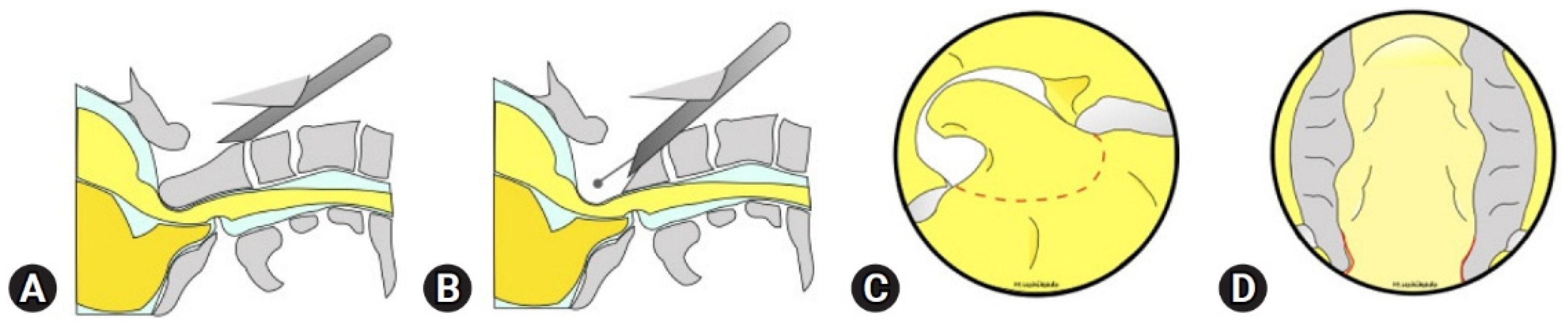 Life 15 00008 g003 Life 15 00008 g003