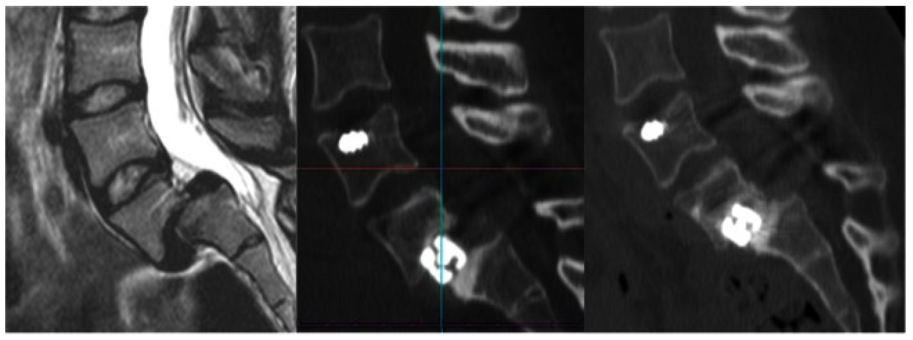 Life 15 00008 g004 Life 15 00008 g004