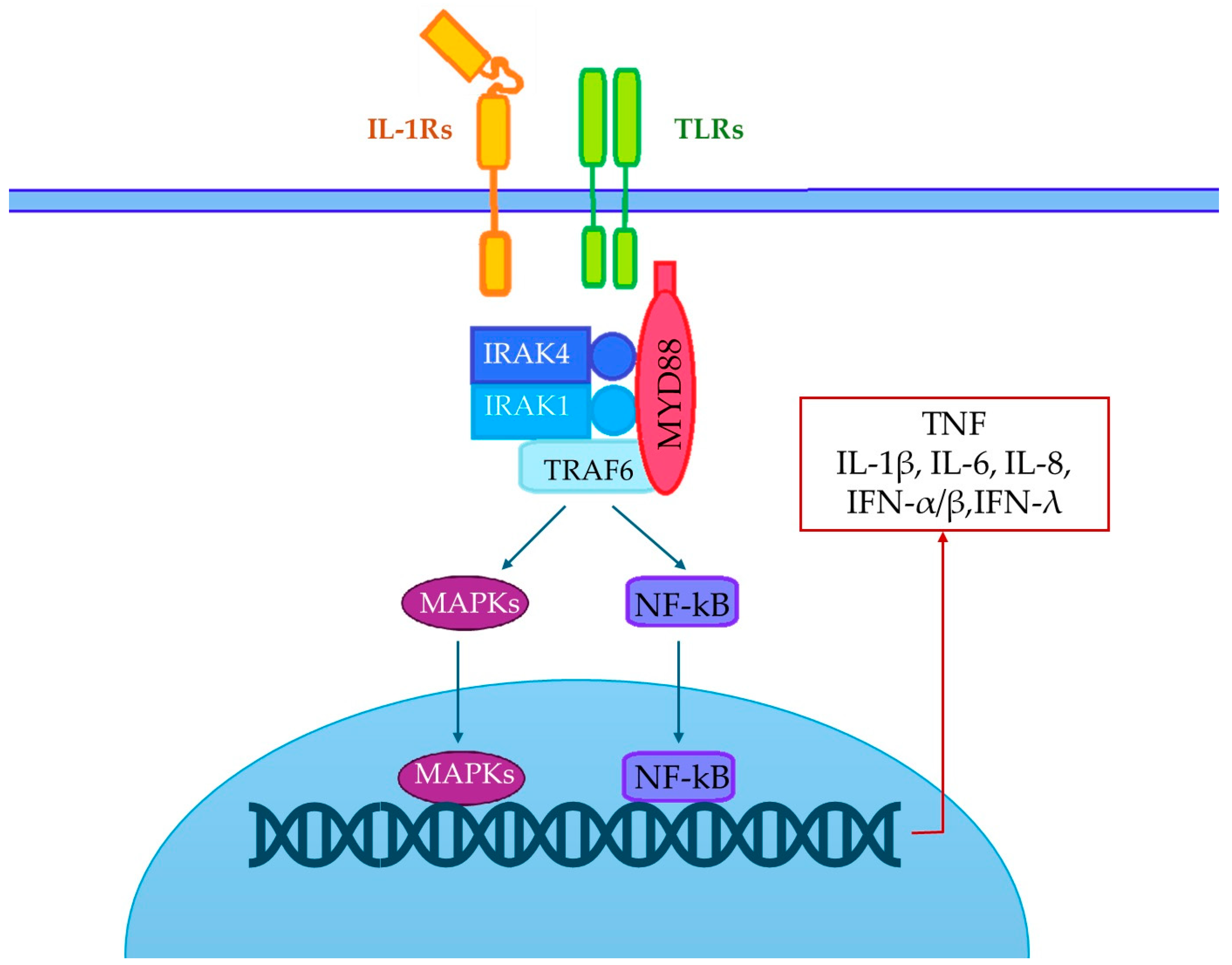 Life 15 00020 g001 Life 15 00020 g001