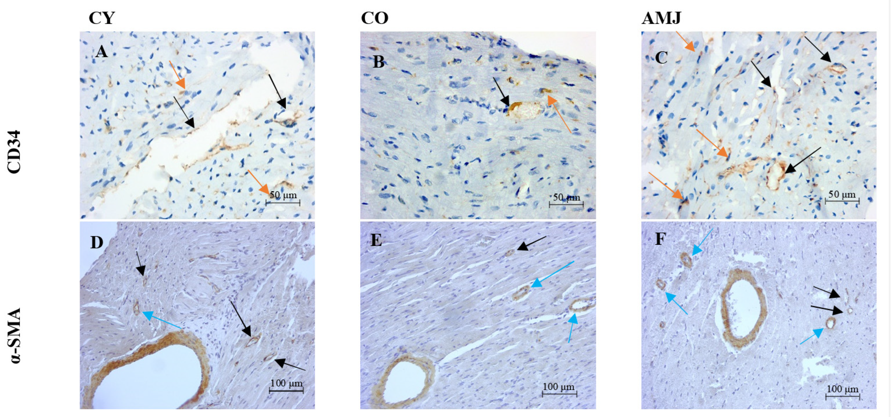 Life 15 00023 g001 Life 15 00023 g001