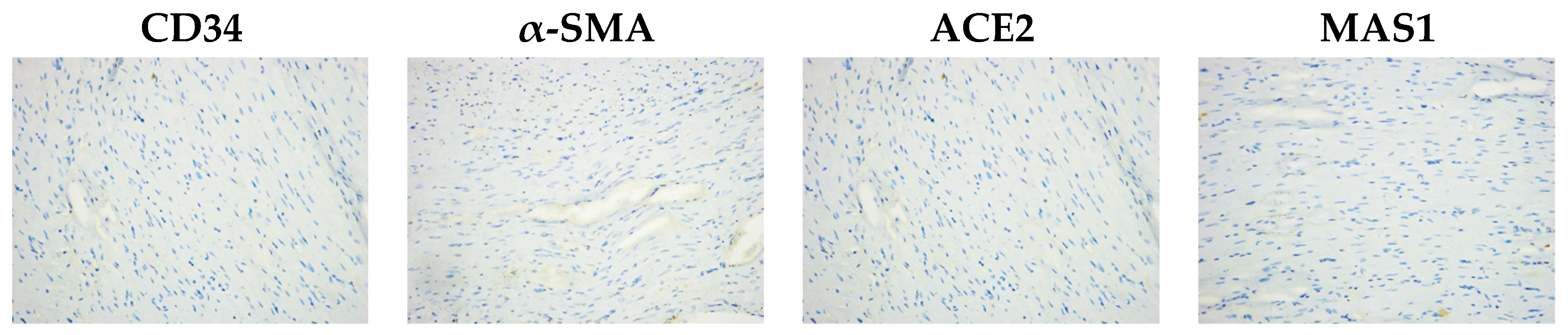 Life 15 00023 g006 Life 15 00023 g006