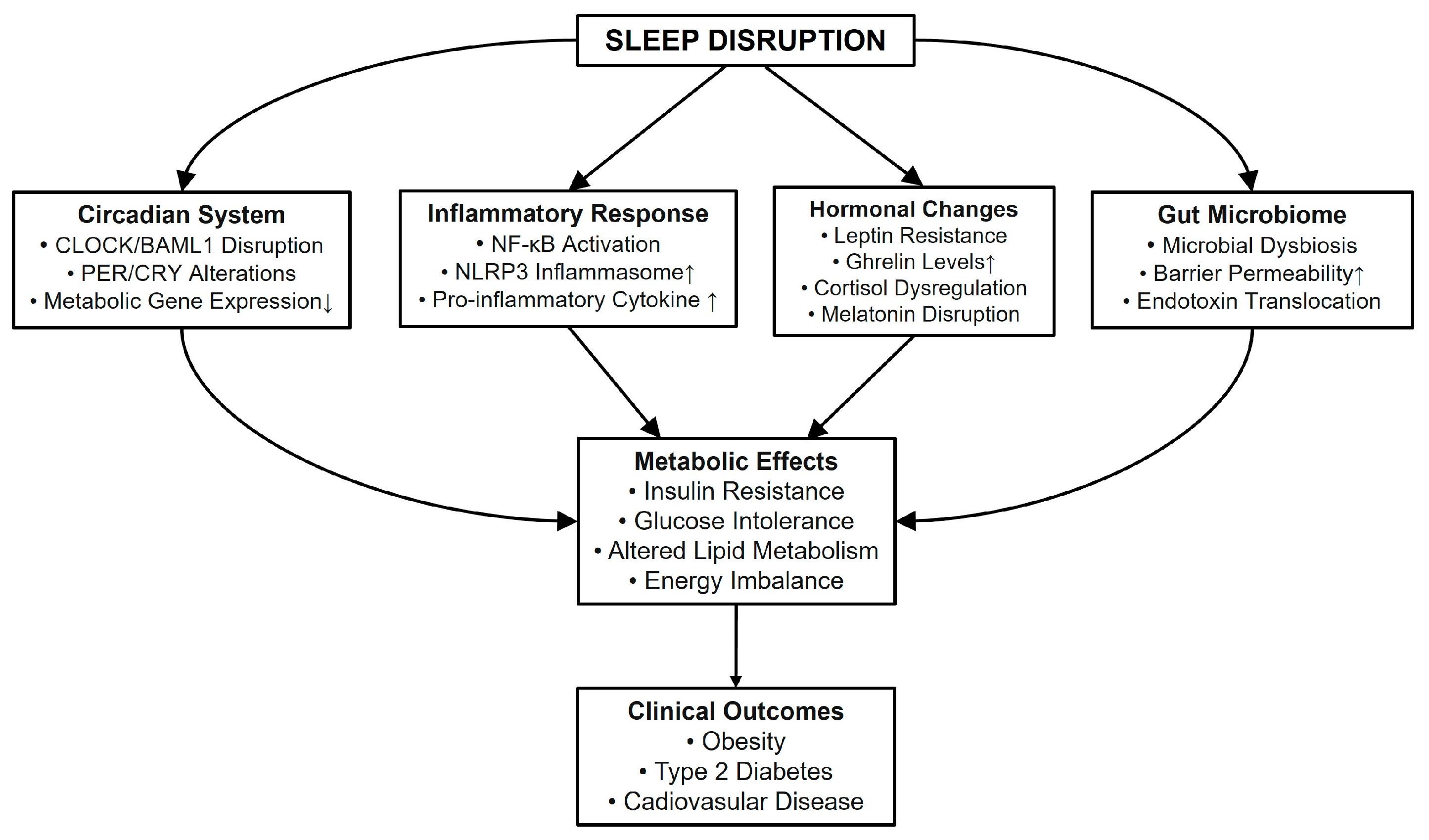 Life 15 00060 g001 Life 15 00060 g001