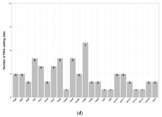 Complete Sequence and Characterization of Mitochondrial and