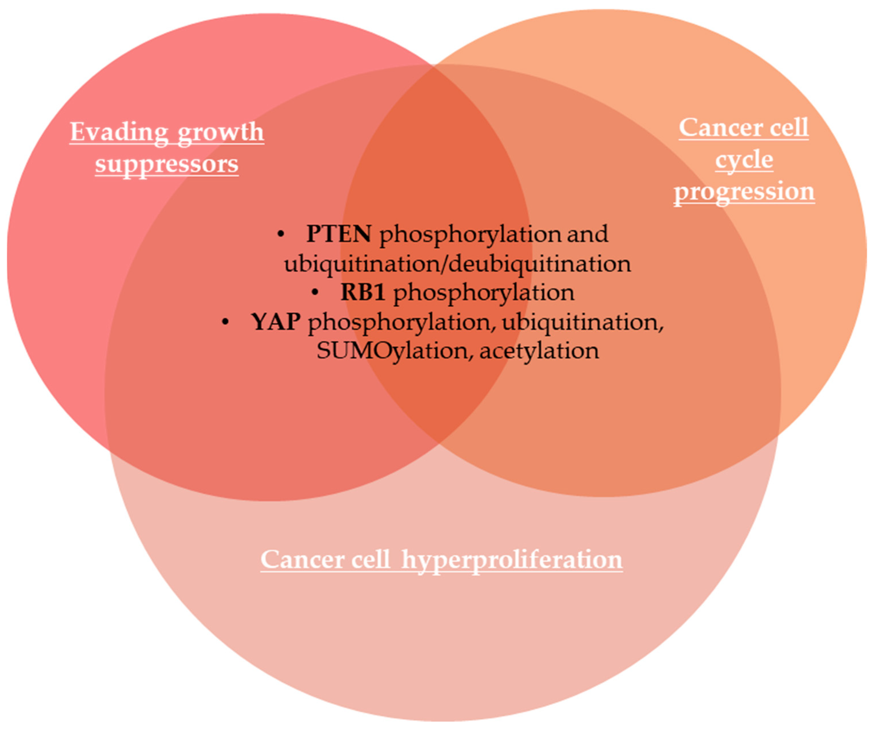 100％安い Post-Translational Modifications of Proteins Orchestrate All アクセサリー