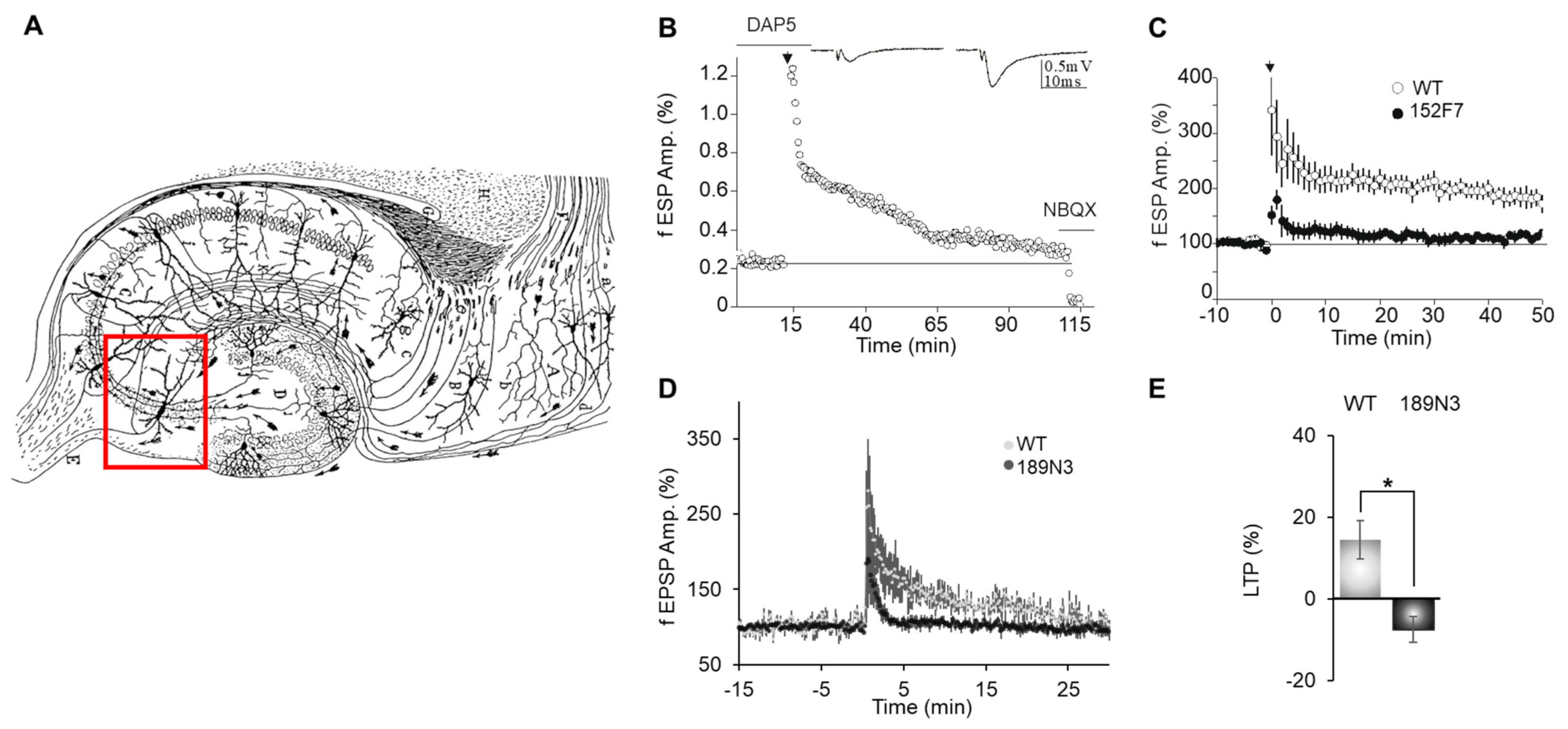 Life 15 00149 g001 Life 15 00149 g001