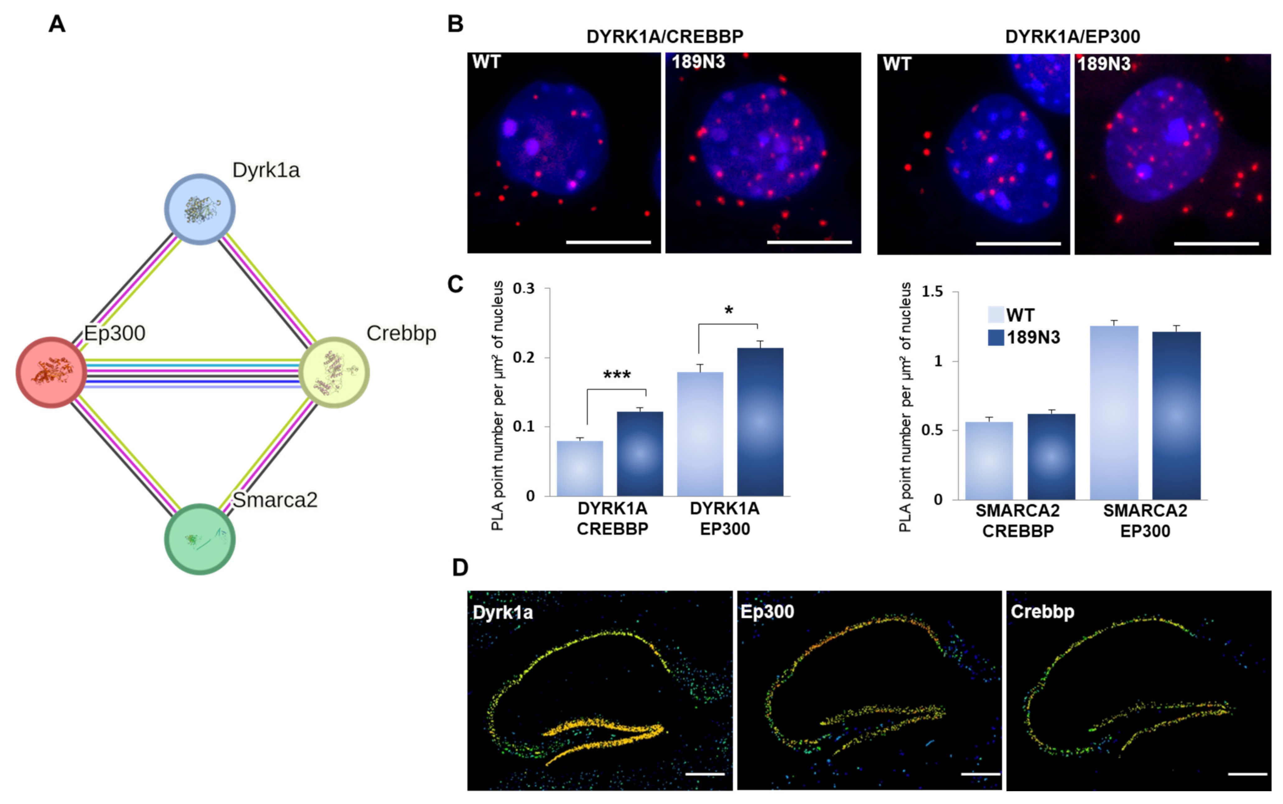 Life 15 00149 g002 Life 15 00149 g002