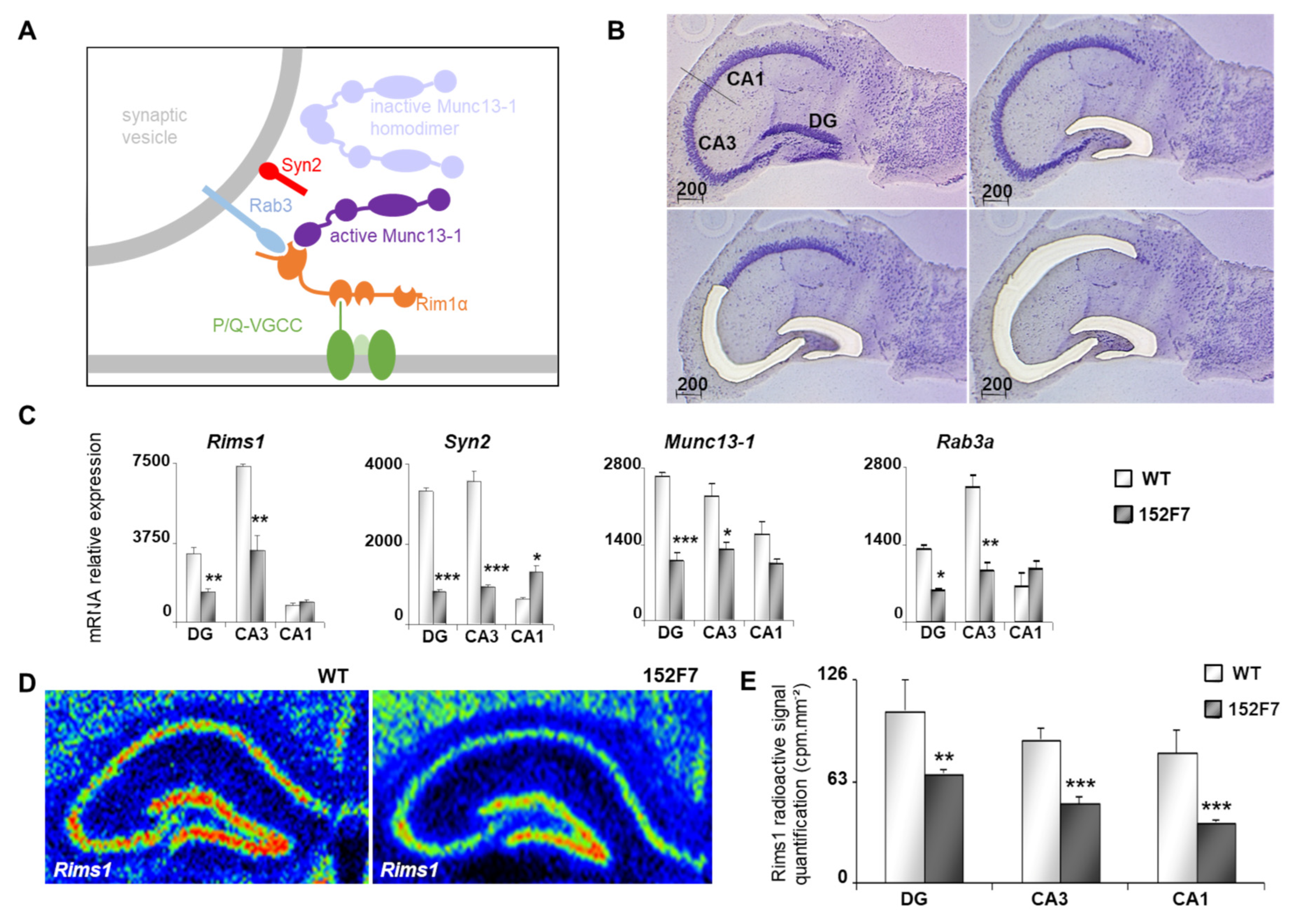 Life 15 00149 g003 Life 15 00149 g003