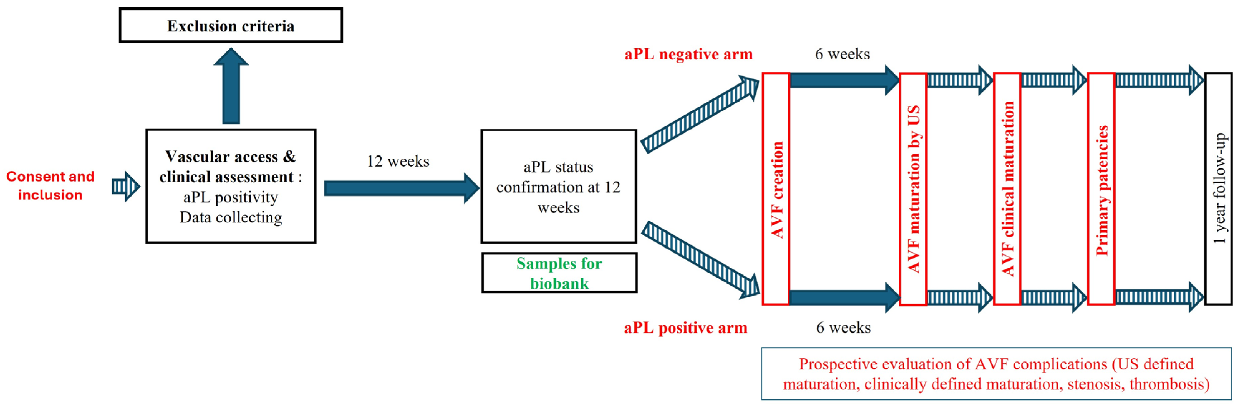 Life 15 00168 g001 Life 15 00168 g001
