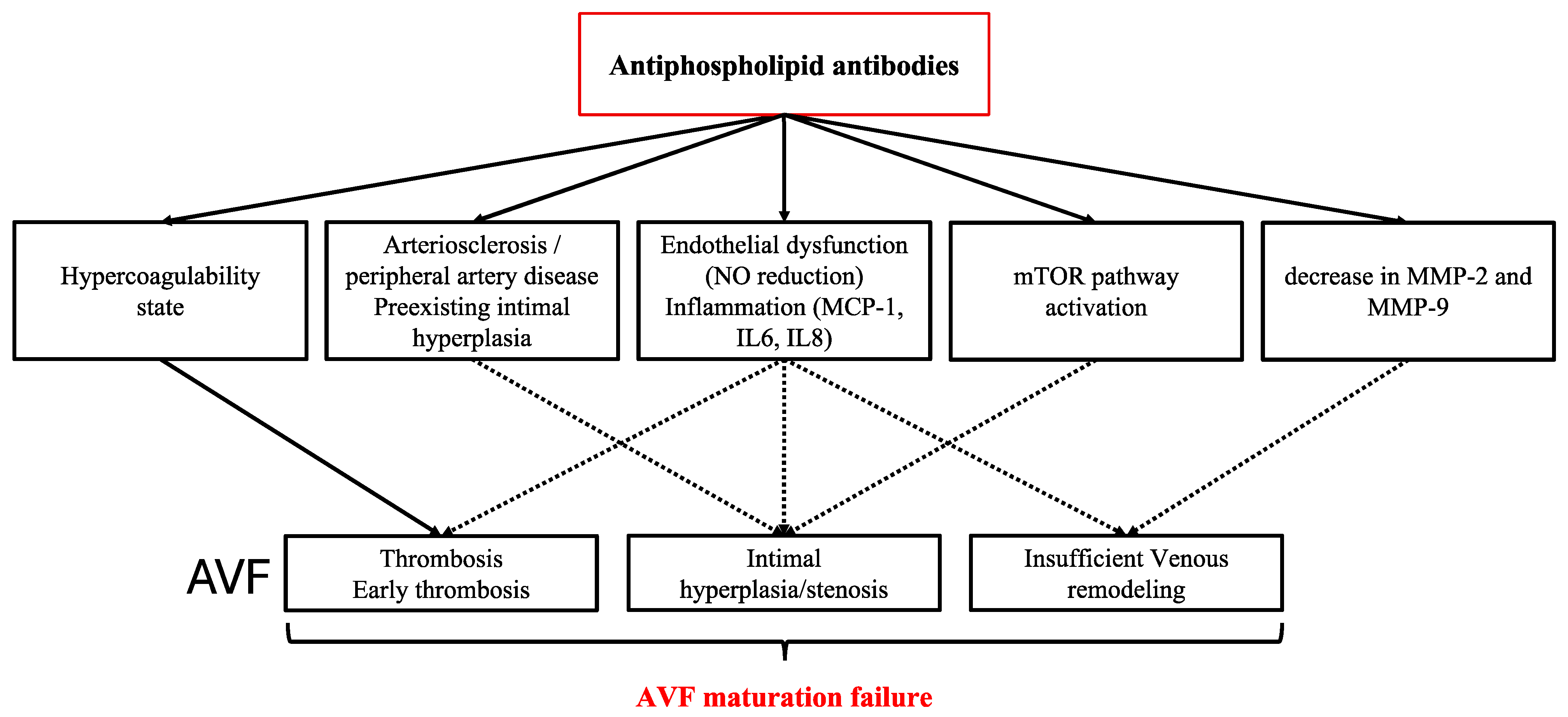 Life 15 00168 g002 Life 15 00168 g002