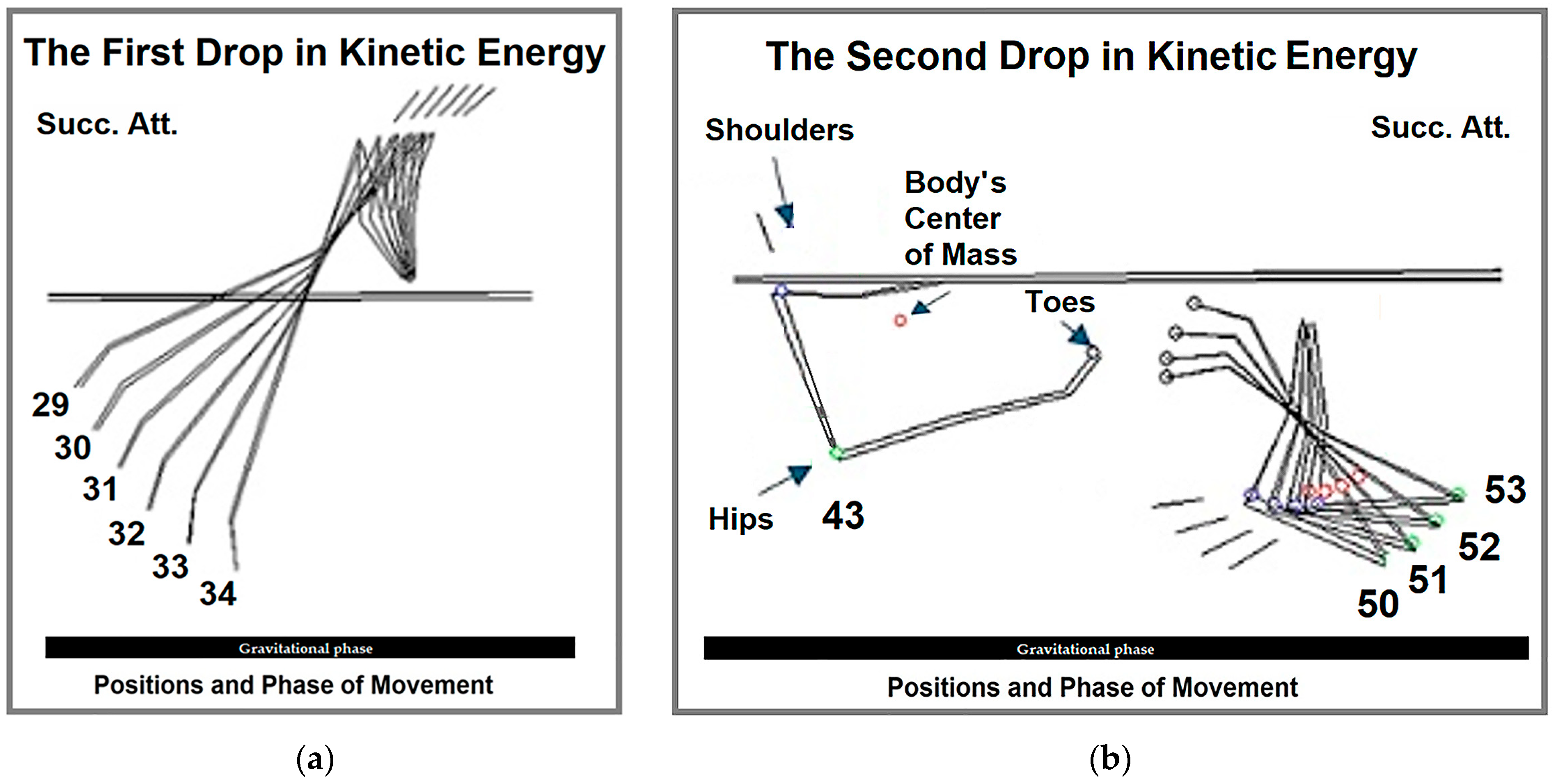 Life 15 00172 g006 Life 15 00172 g006