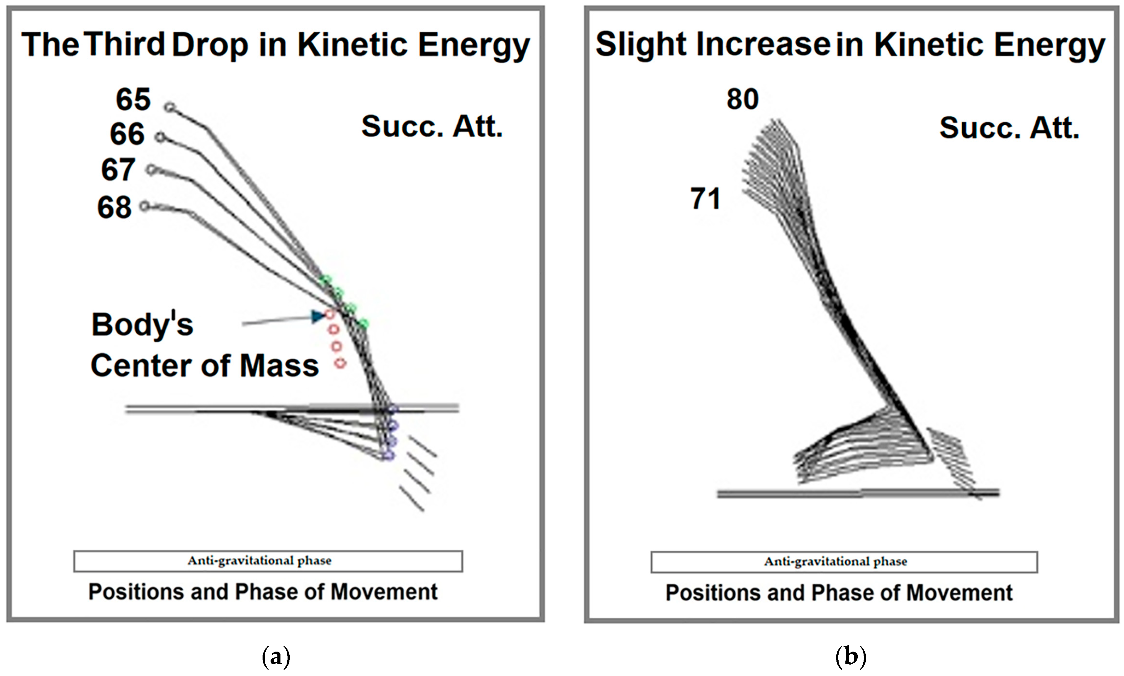 Life 15 00172 g008 Life 15 00172 g008